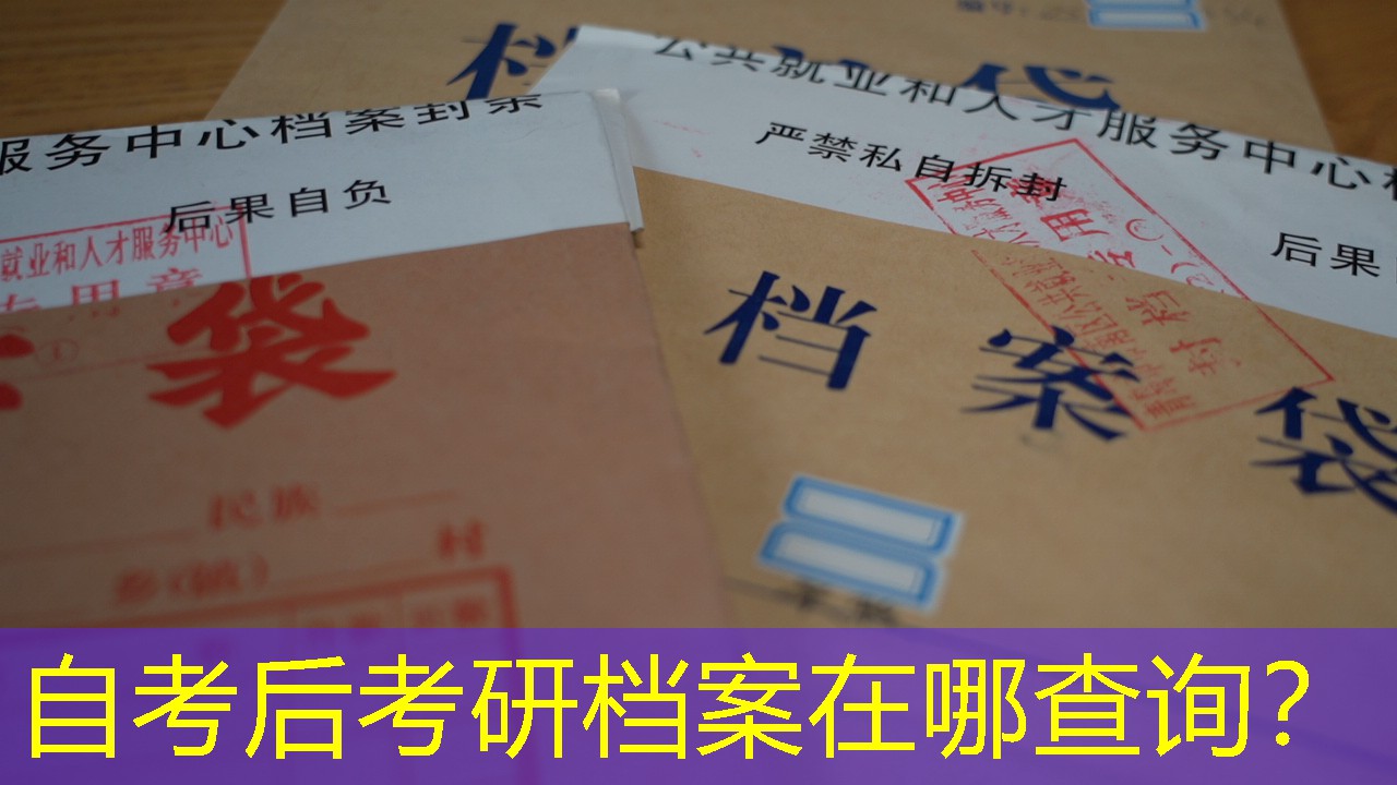 档案查询