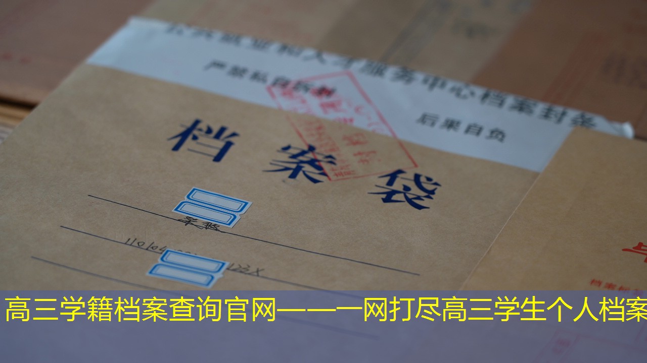 档案查询