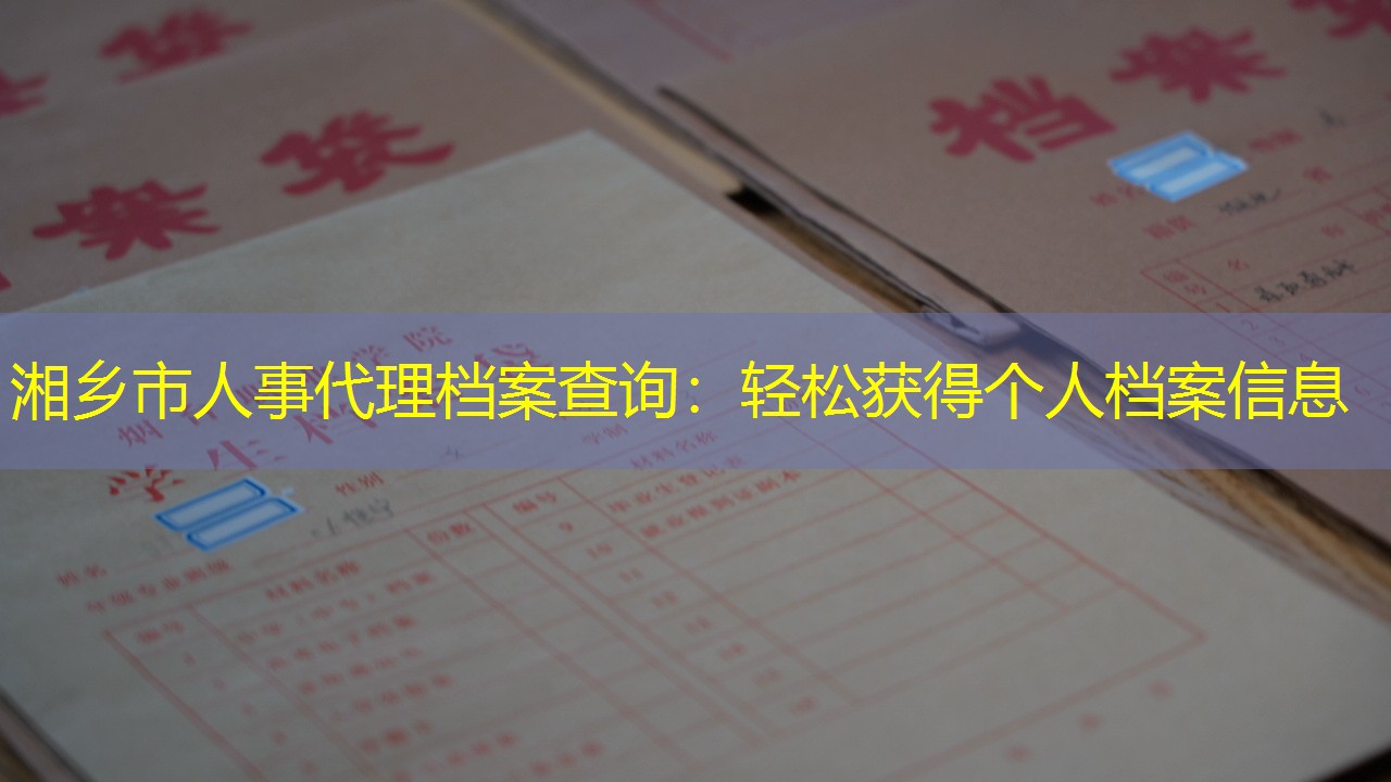 档案查询