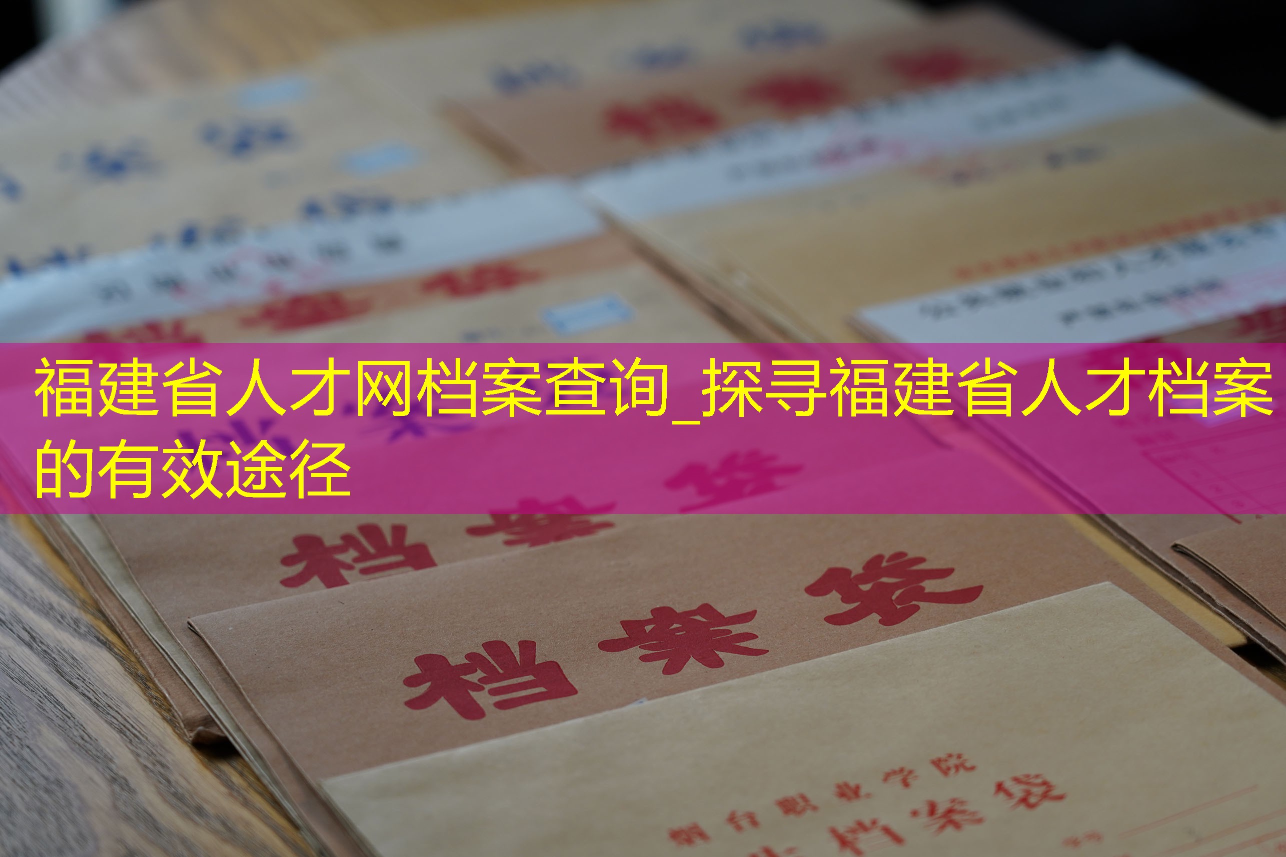 档案查询
