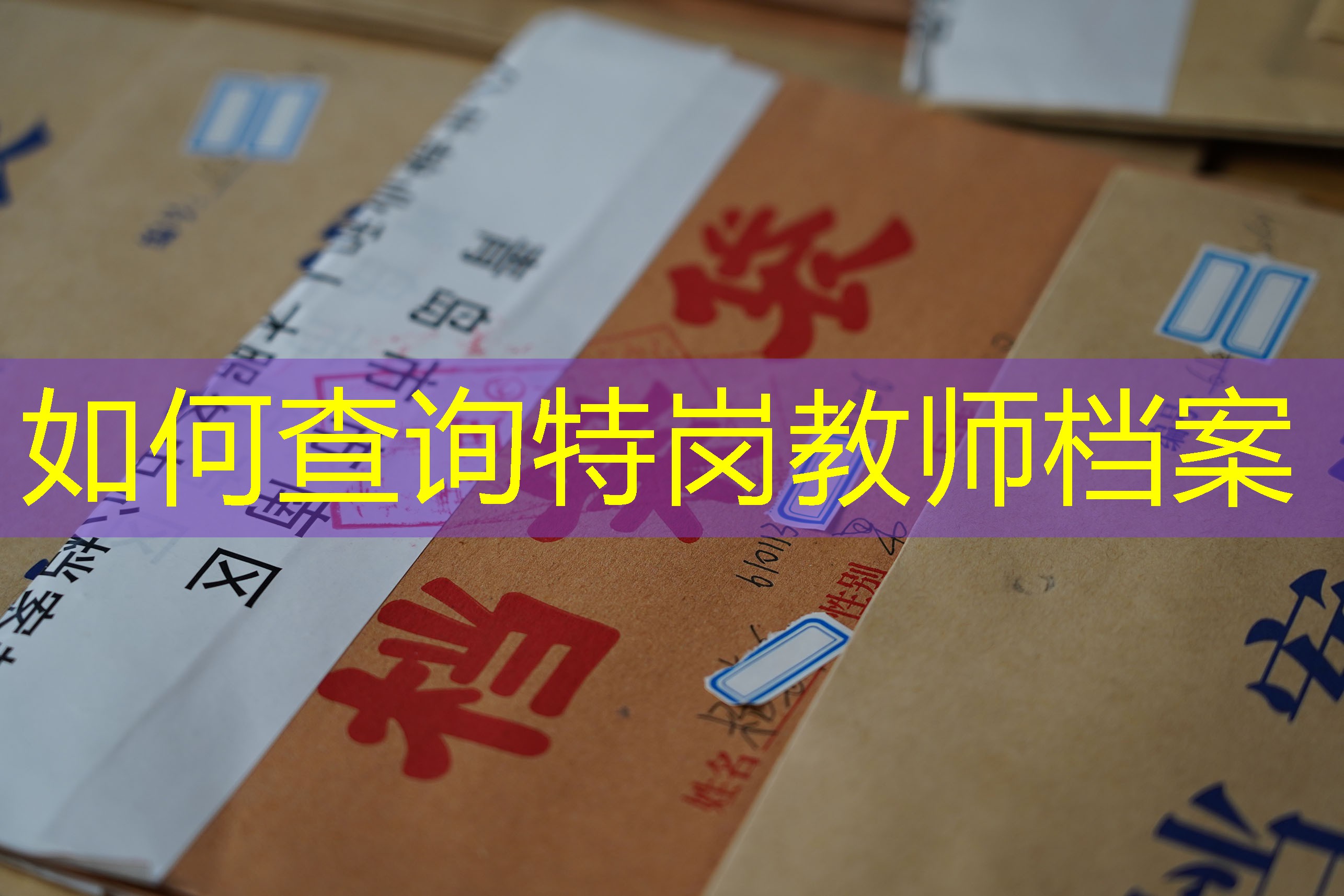 档案查询