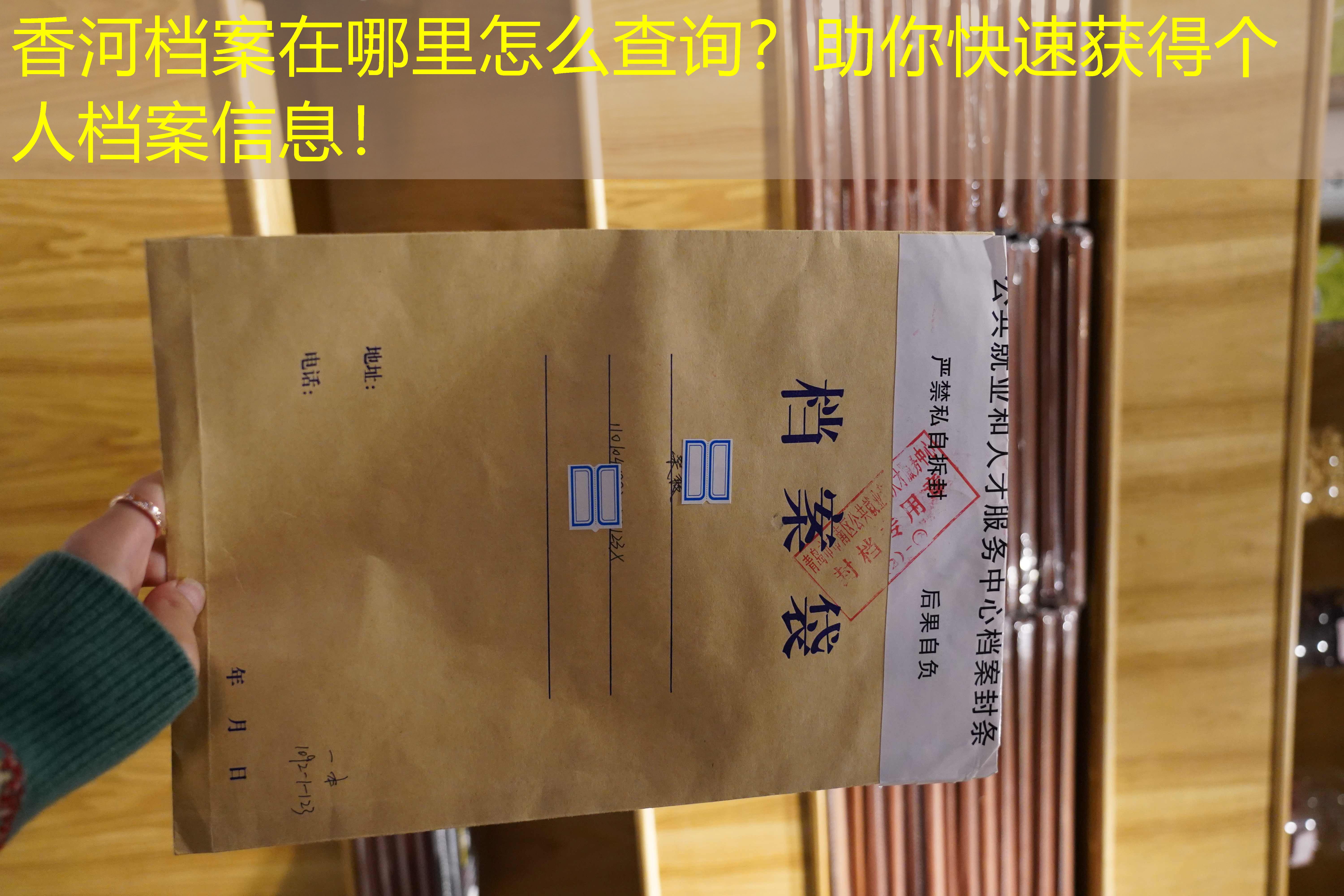 档案查询
