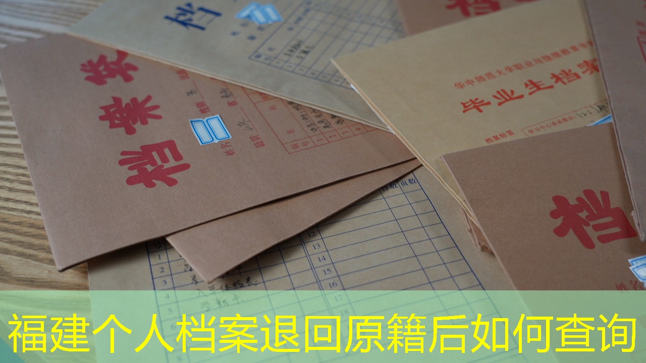 档案查询