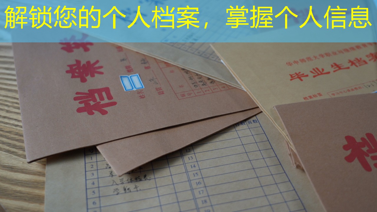 档案查询