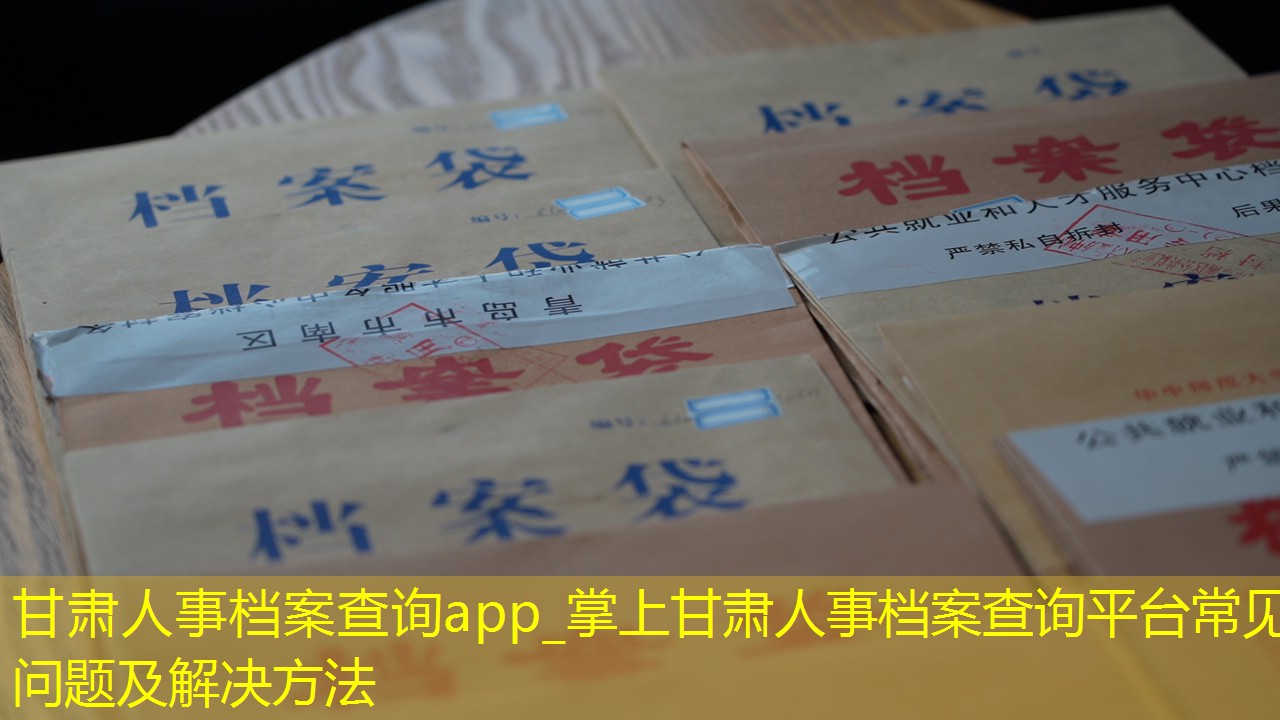 档案查询