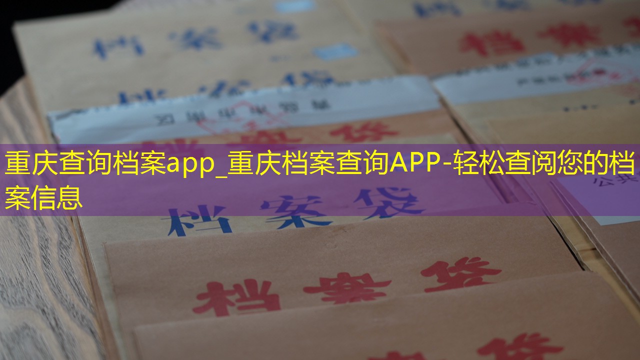 档案查询