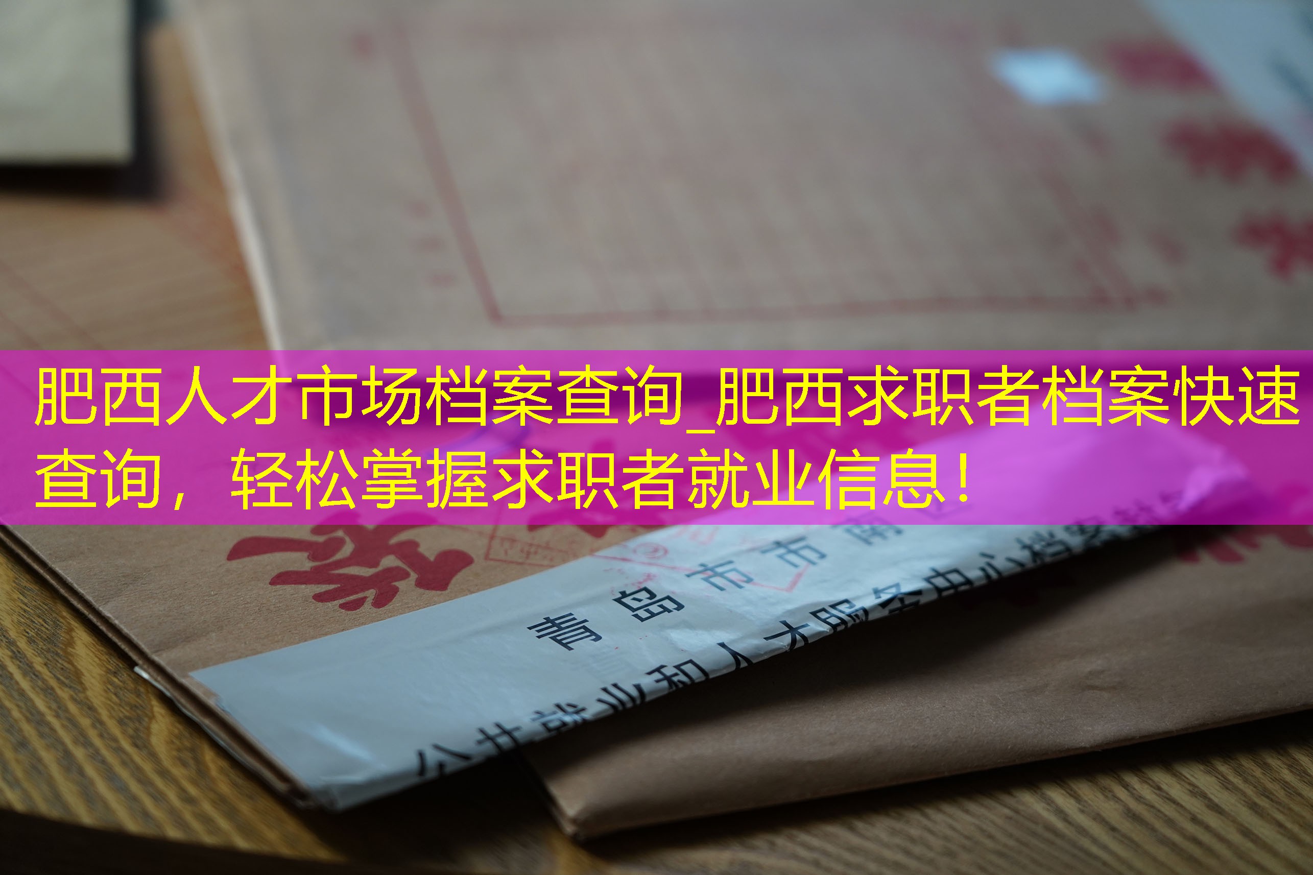 档案查询
