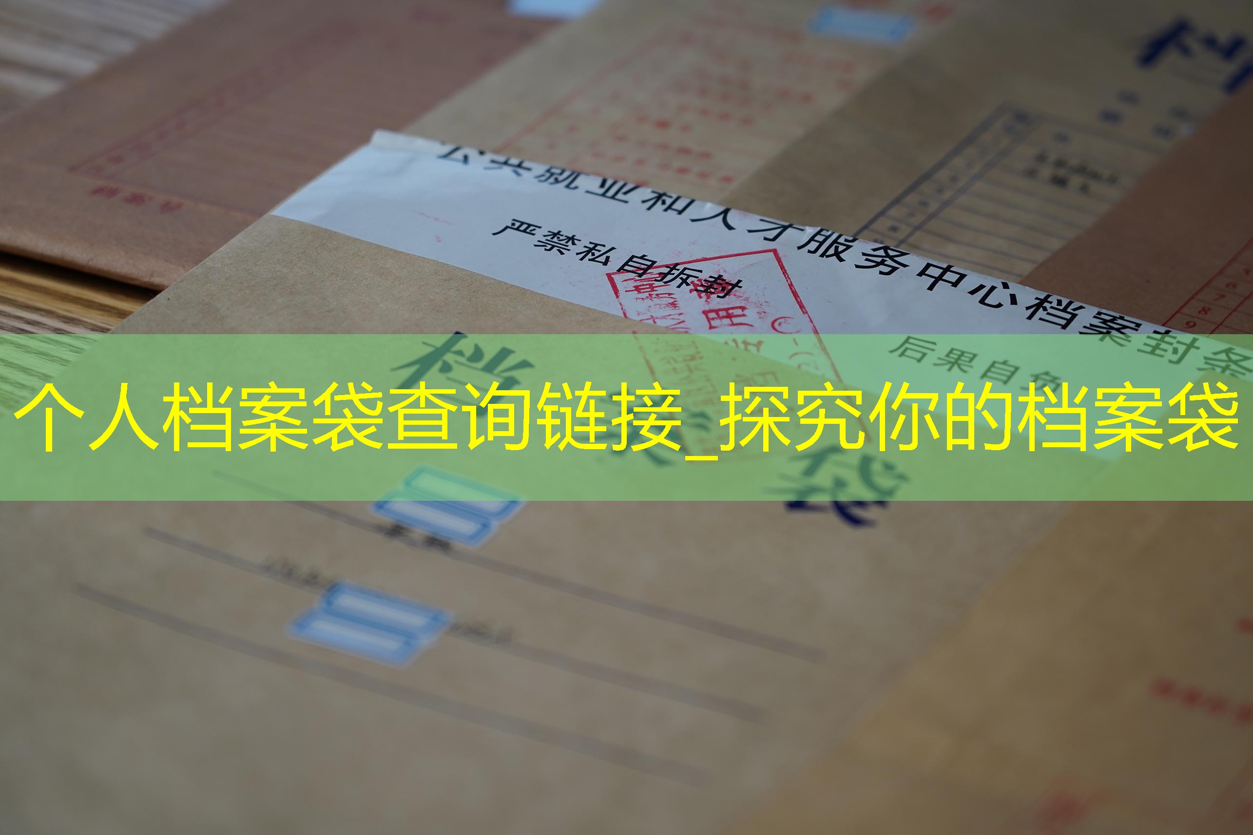 档案查询