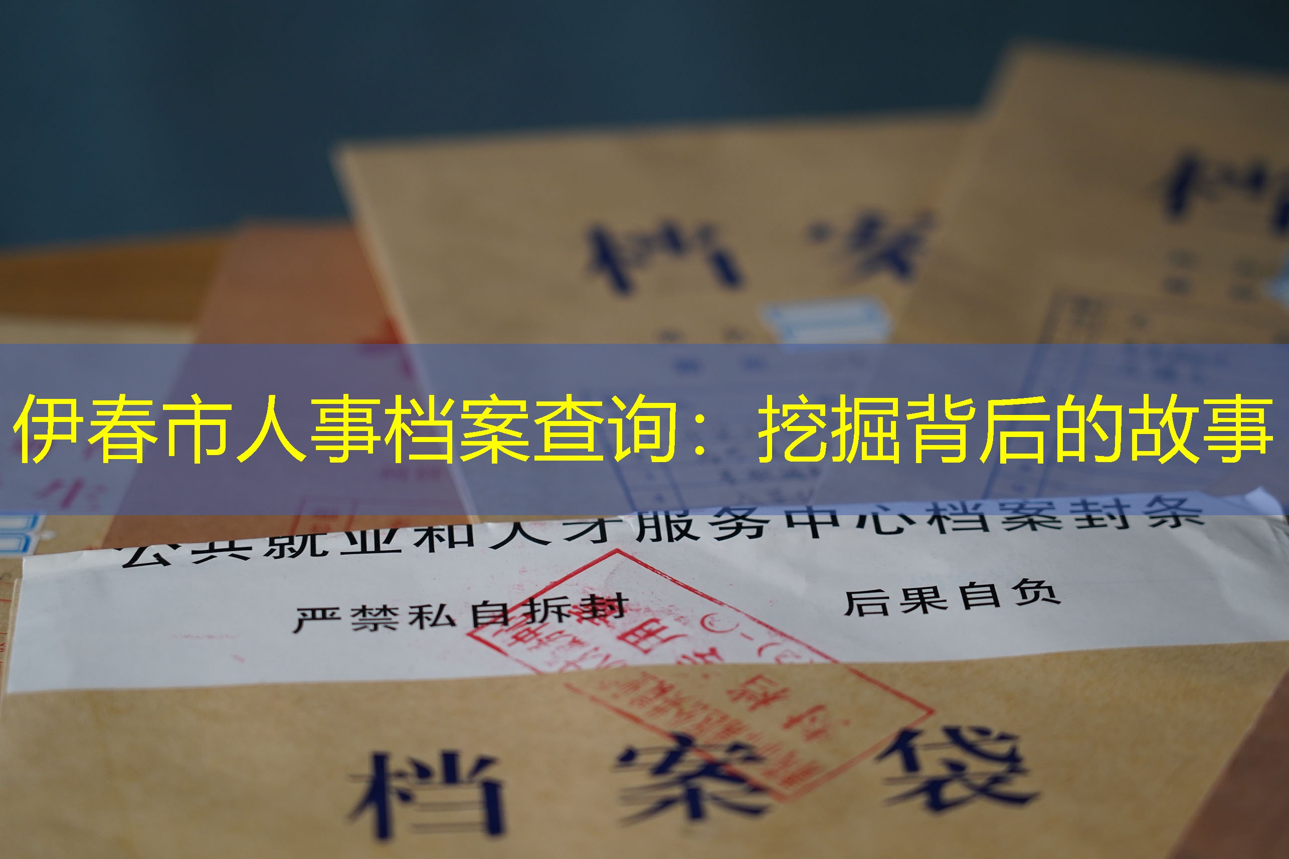 档案查询