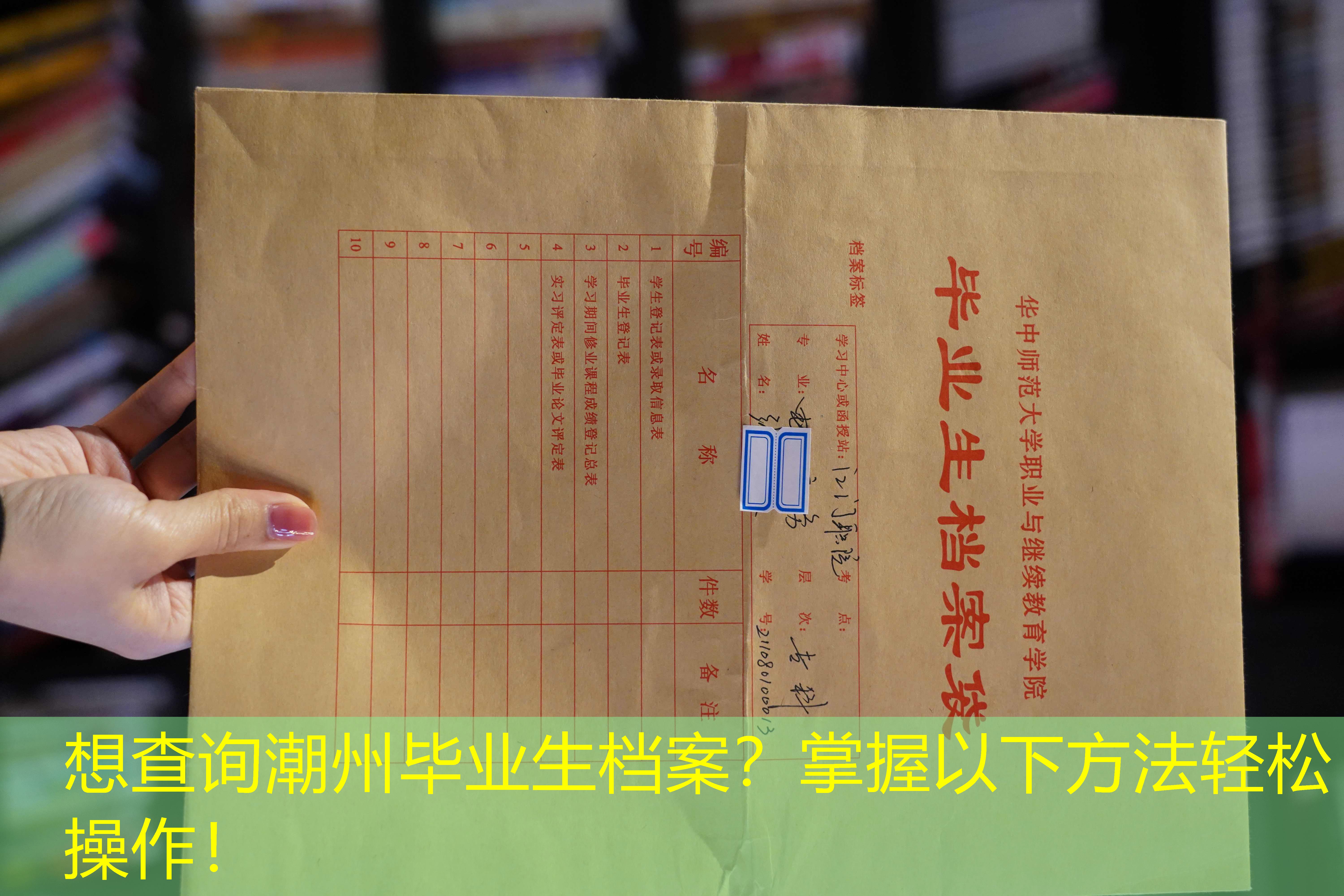 档案查询