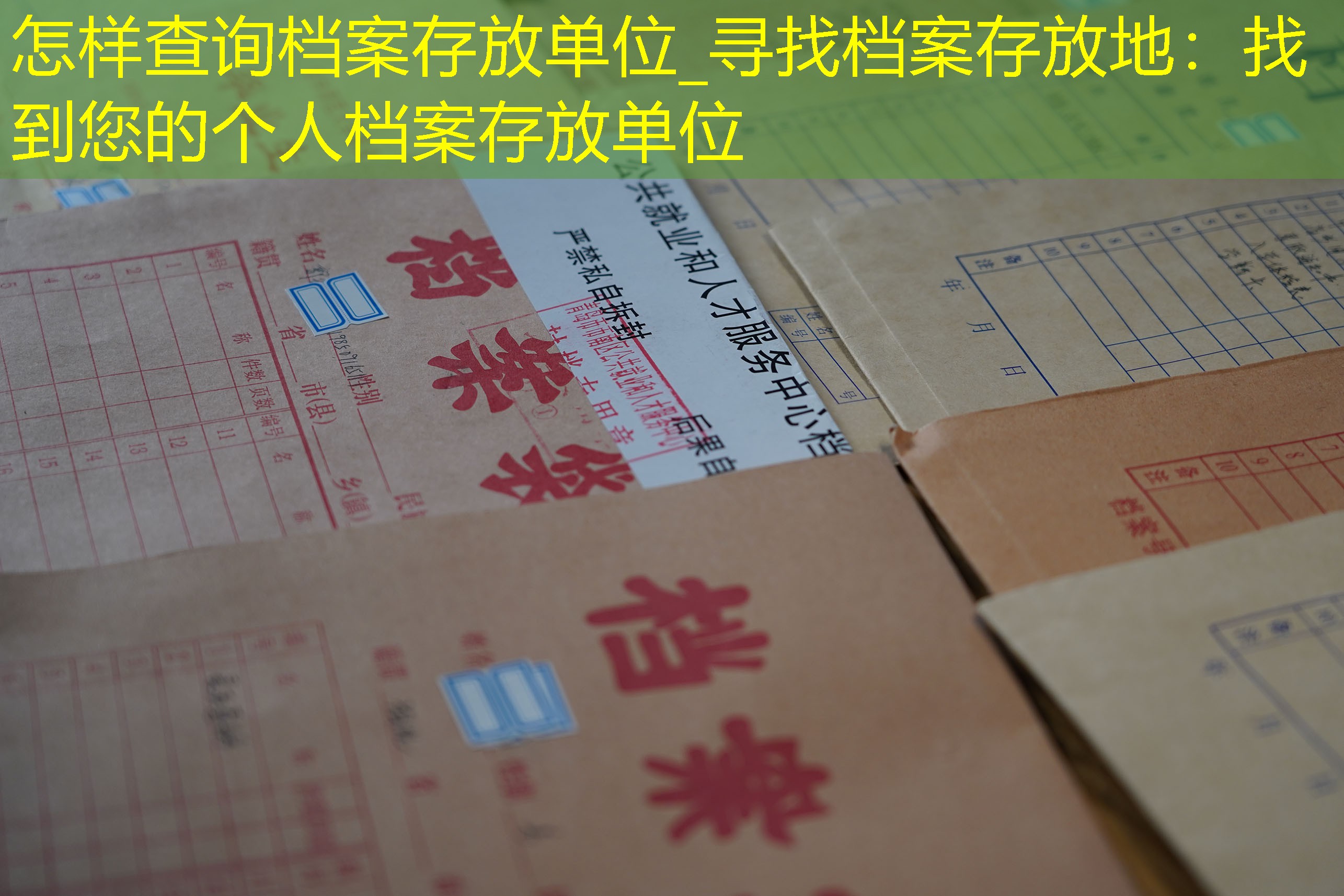 档案查询