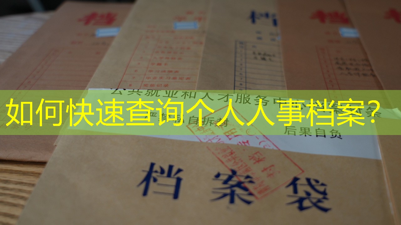 档案查询