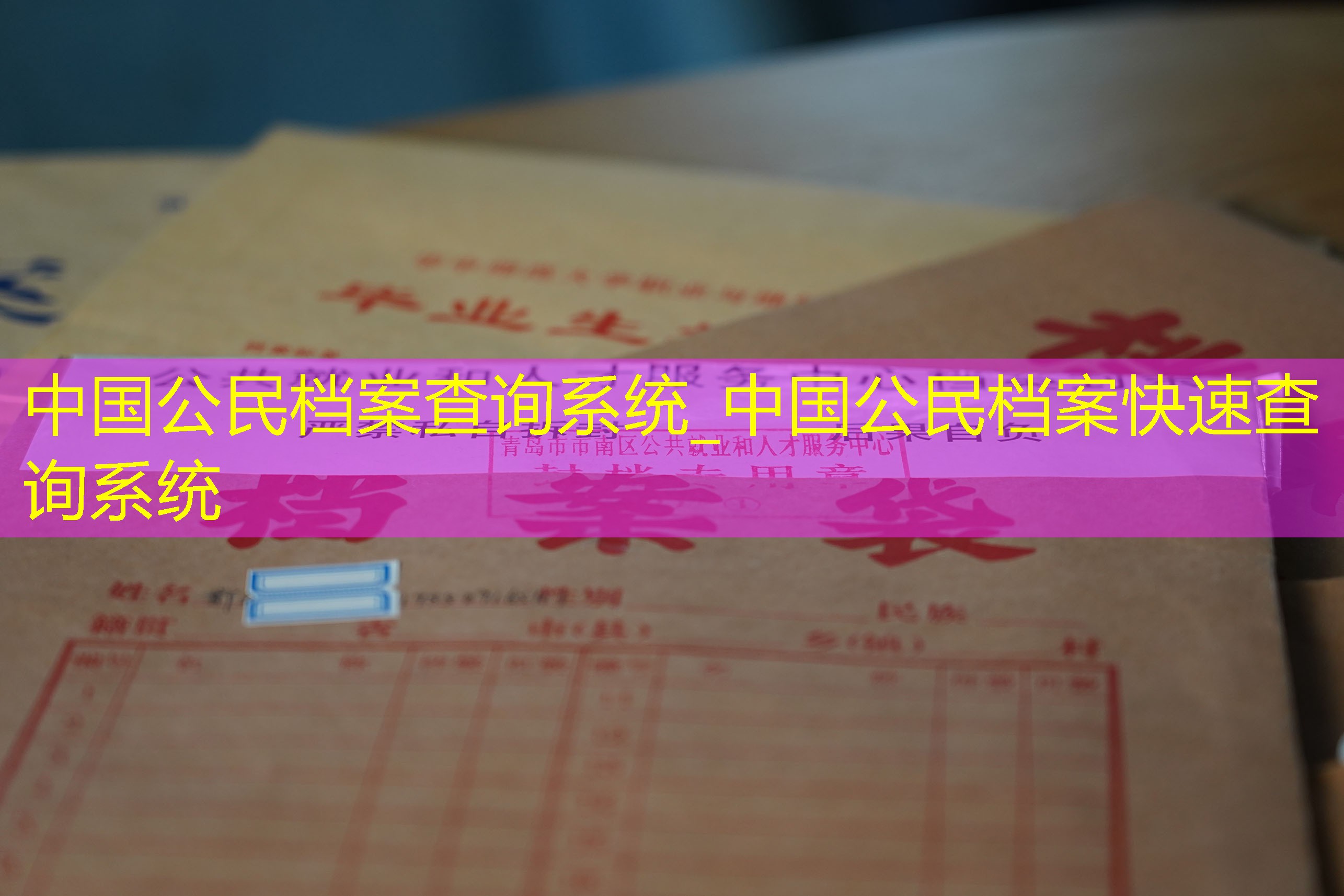 档案查询