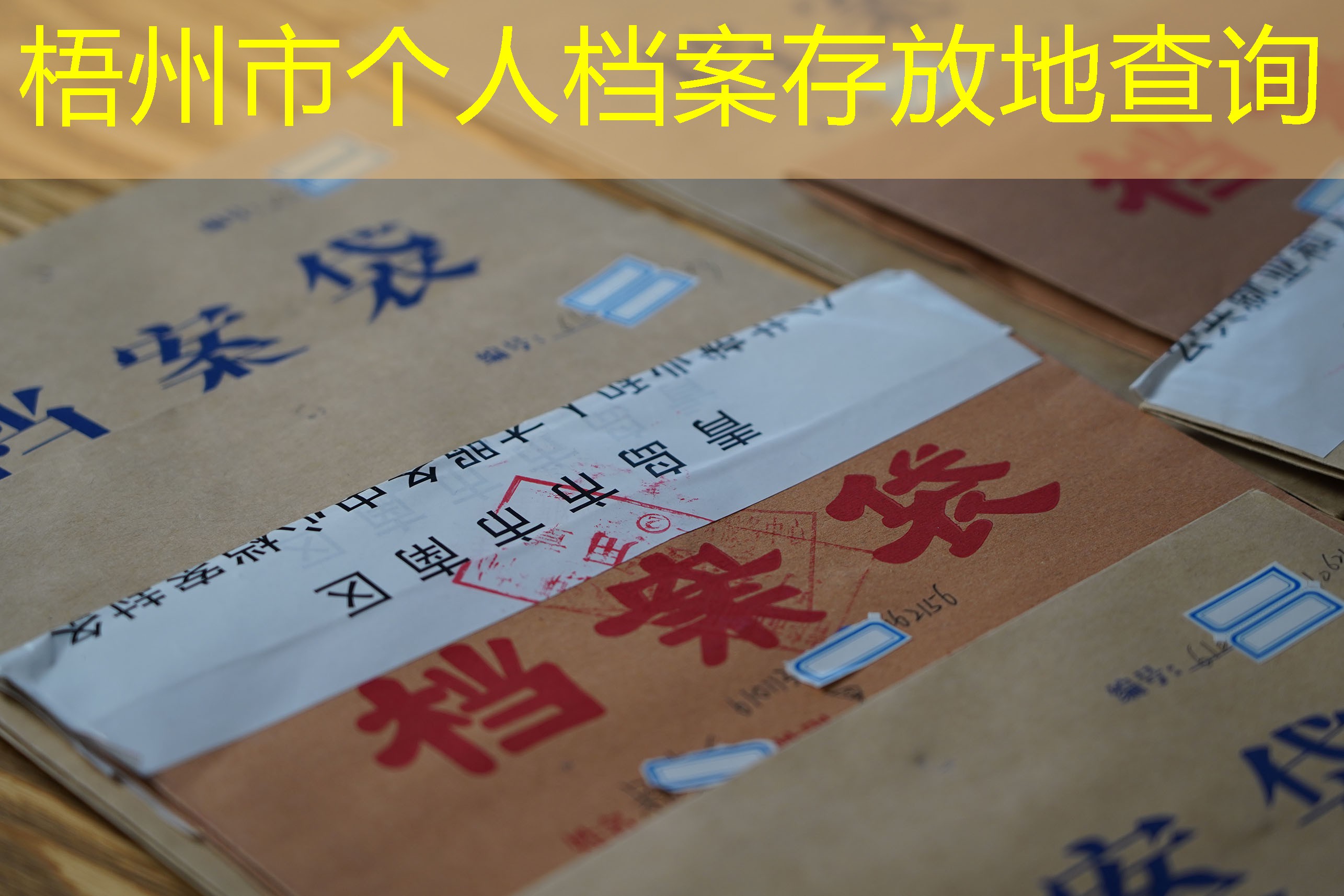 档案查询