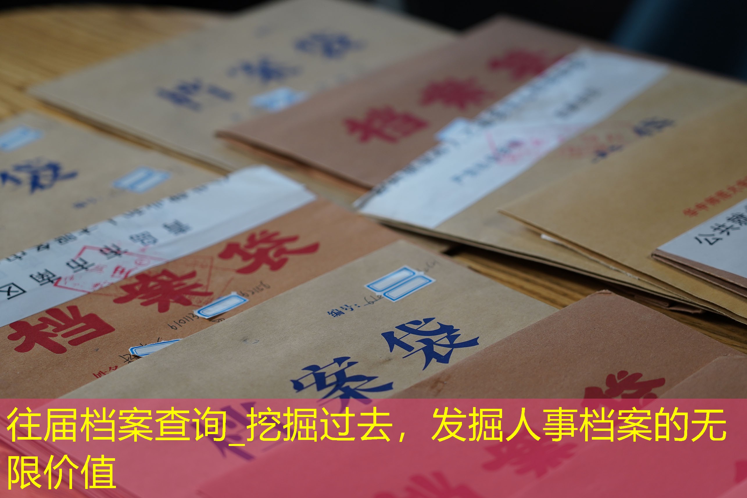 档案查询