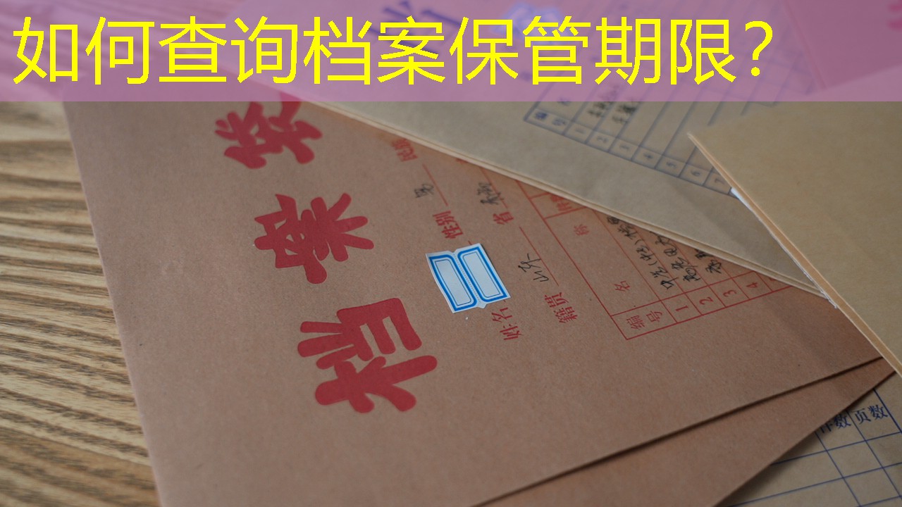 档案查询