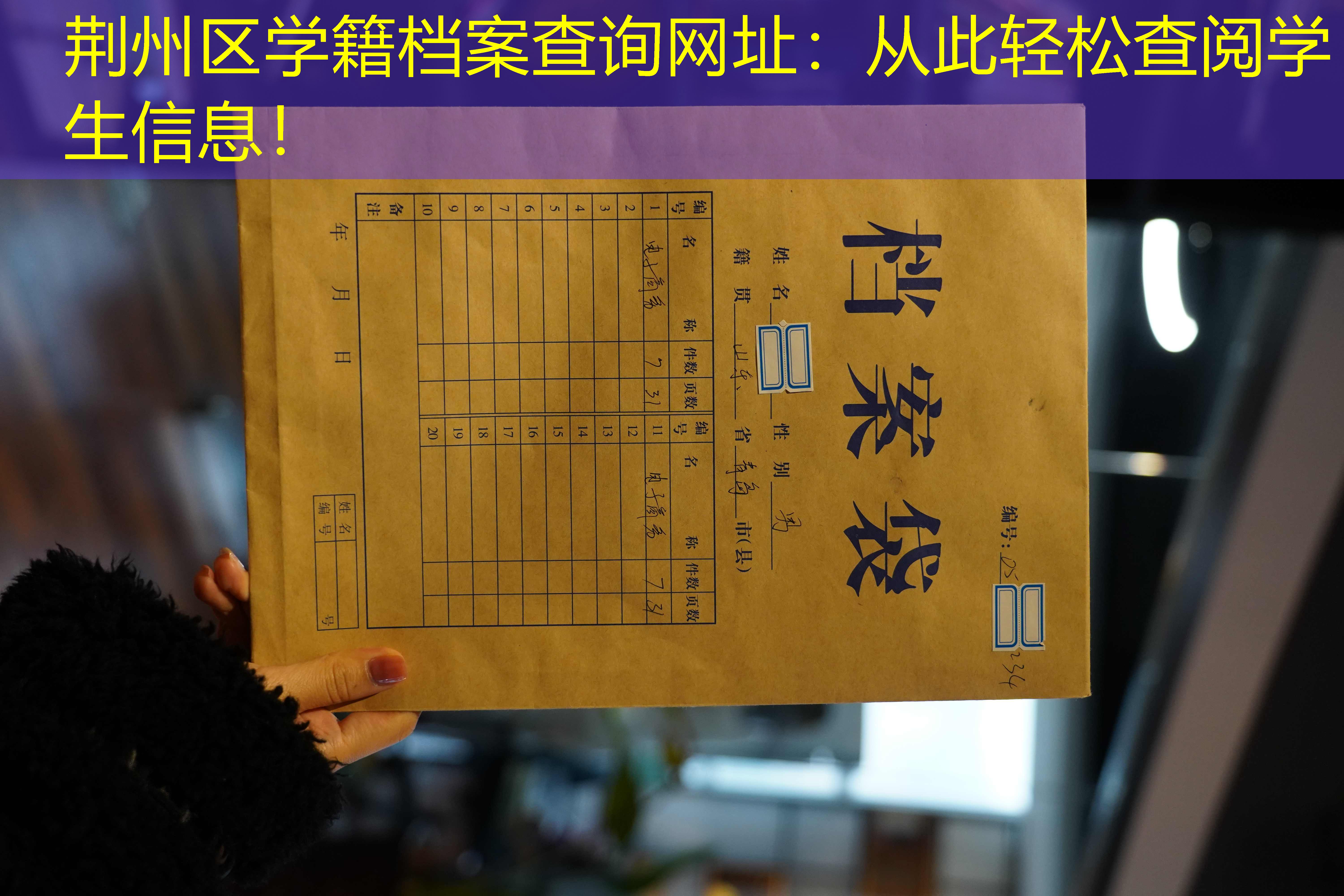 档案查询