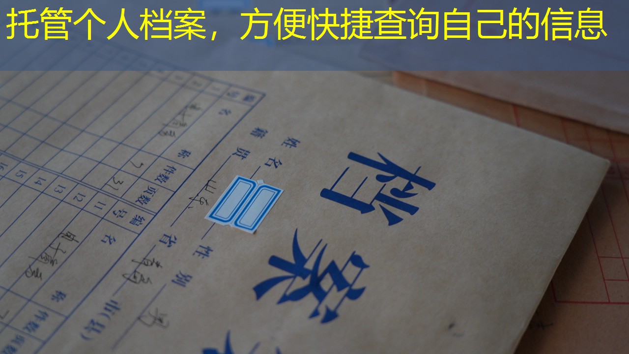 档案查询