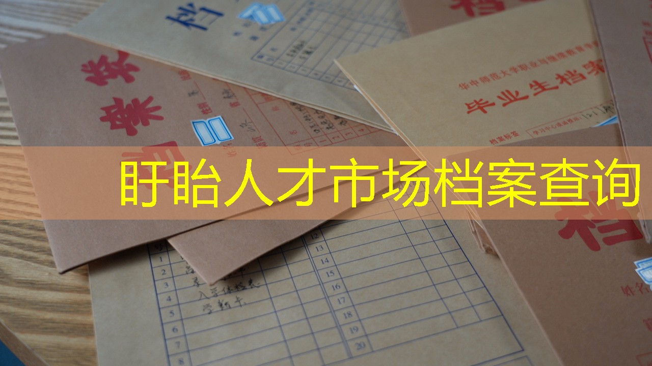 档案查询