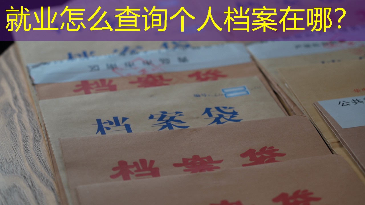 档案查询