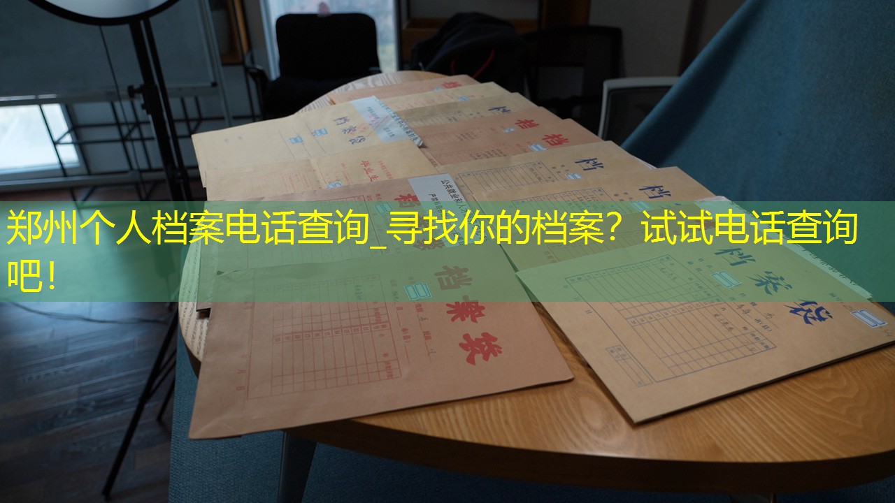 档案查询