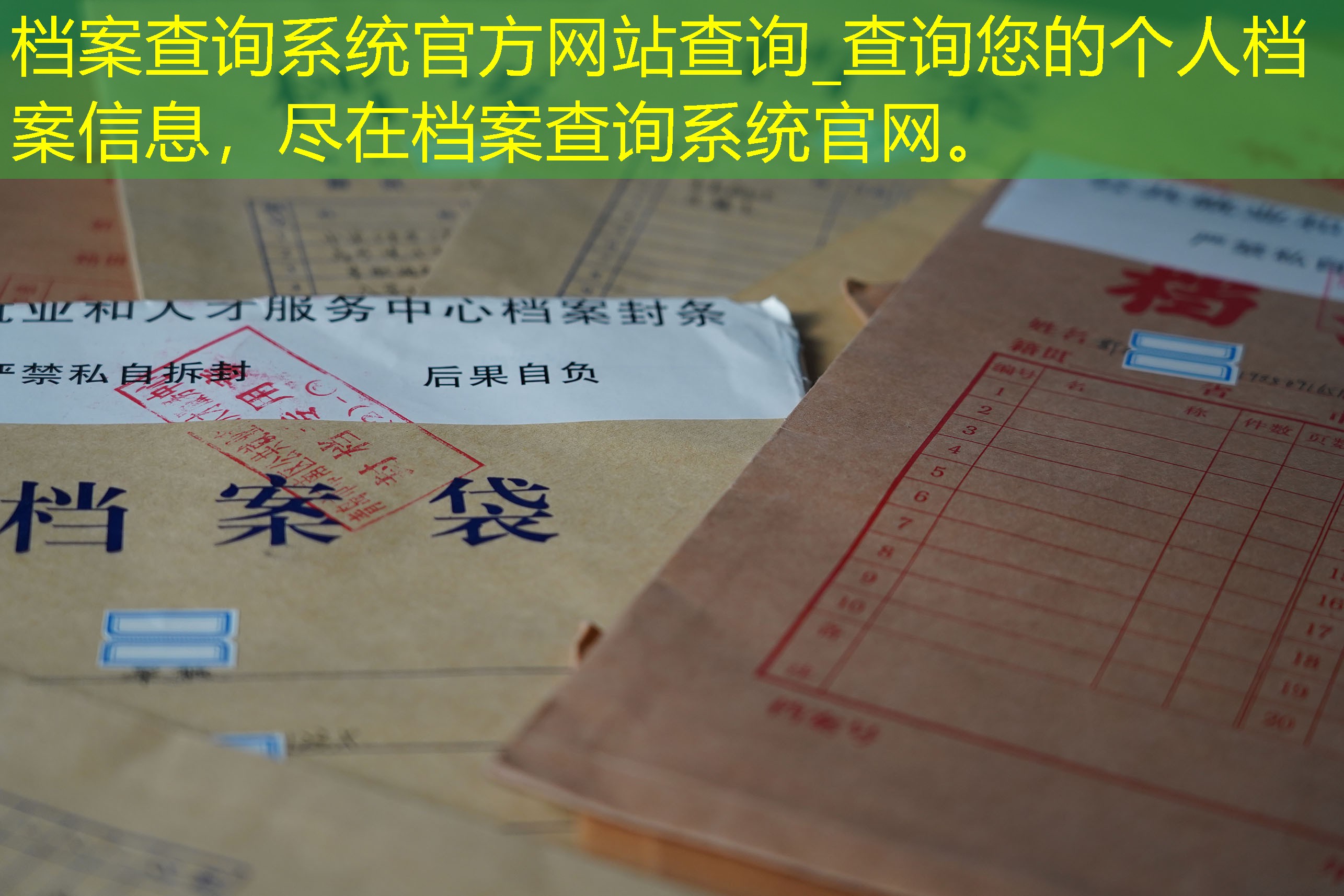 档案查询