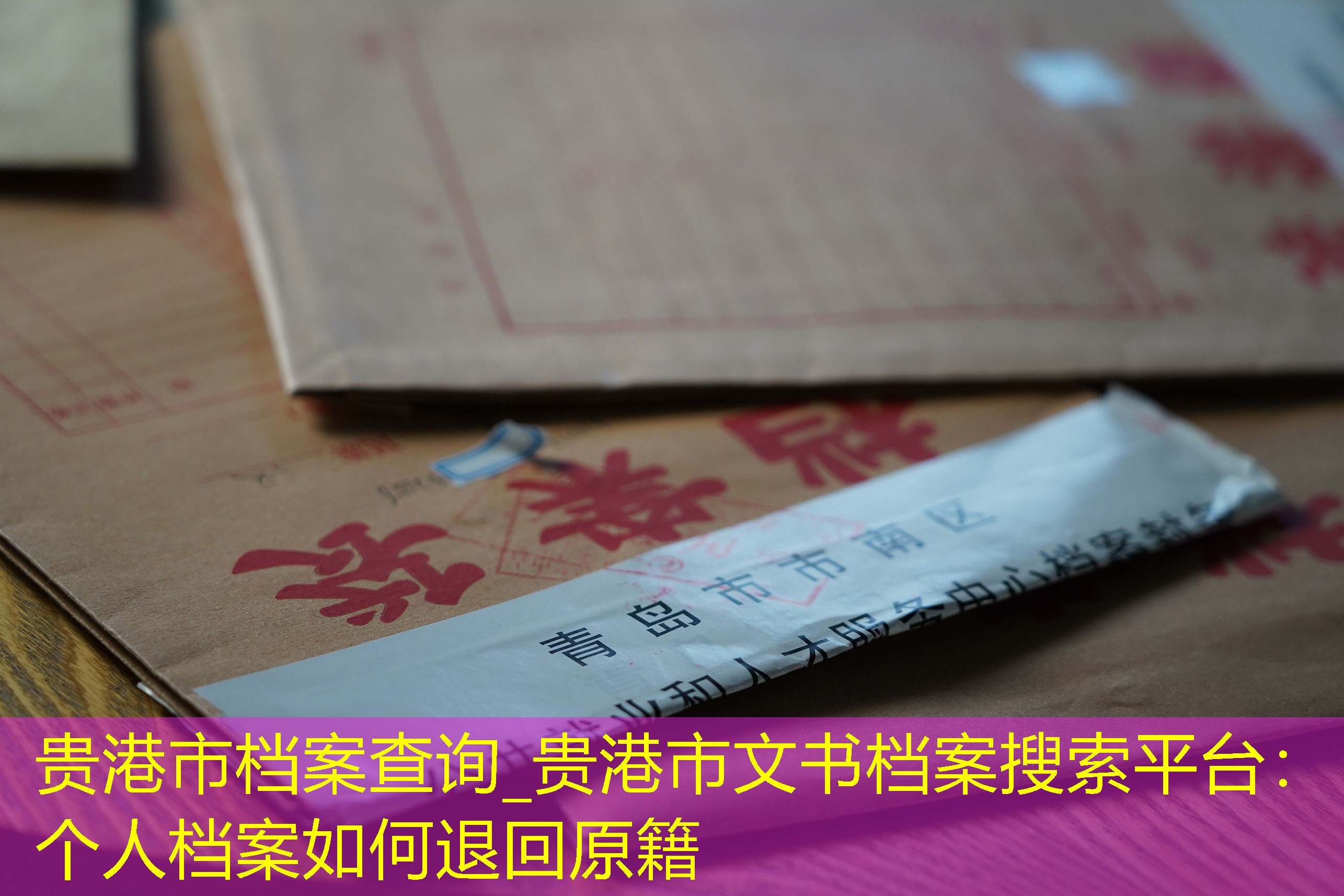 档案查询