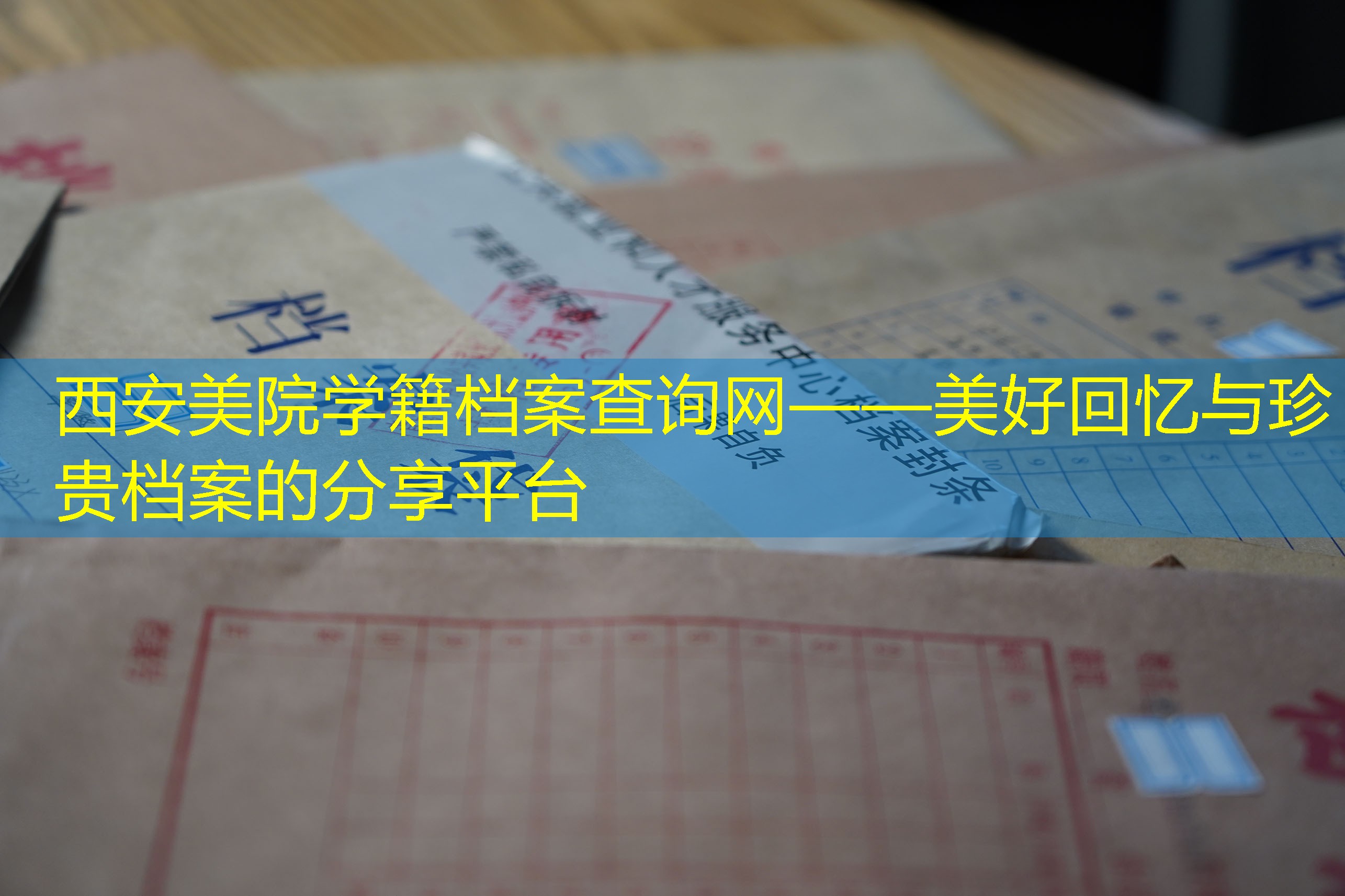 档案查询