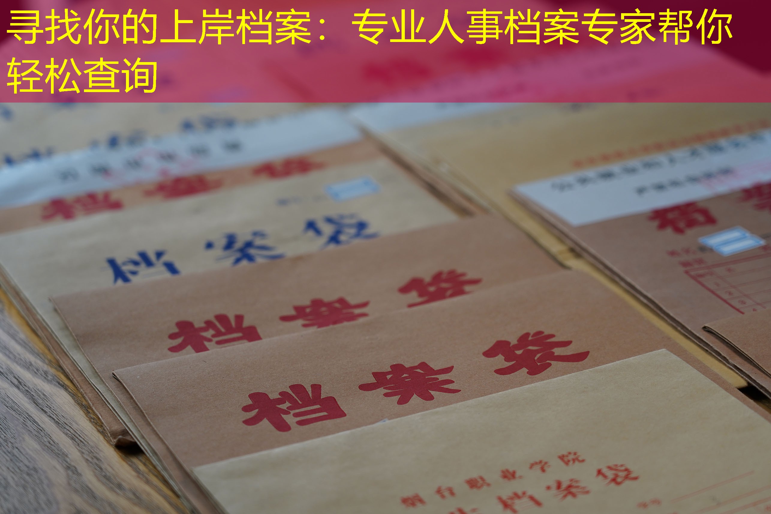 档案查询