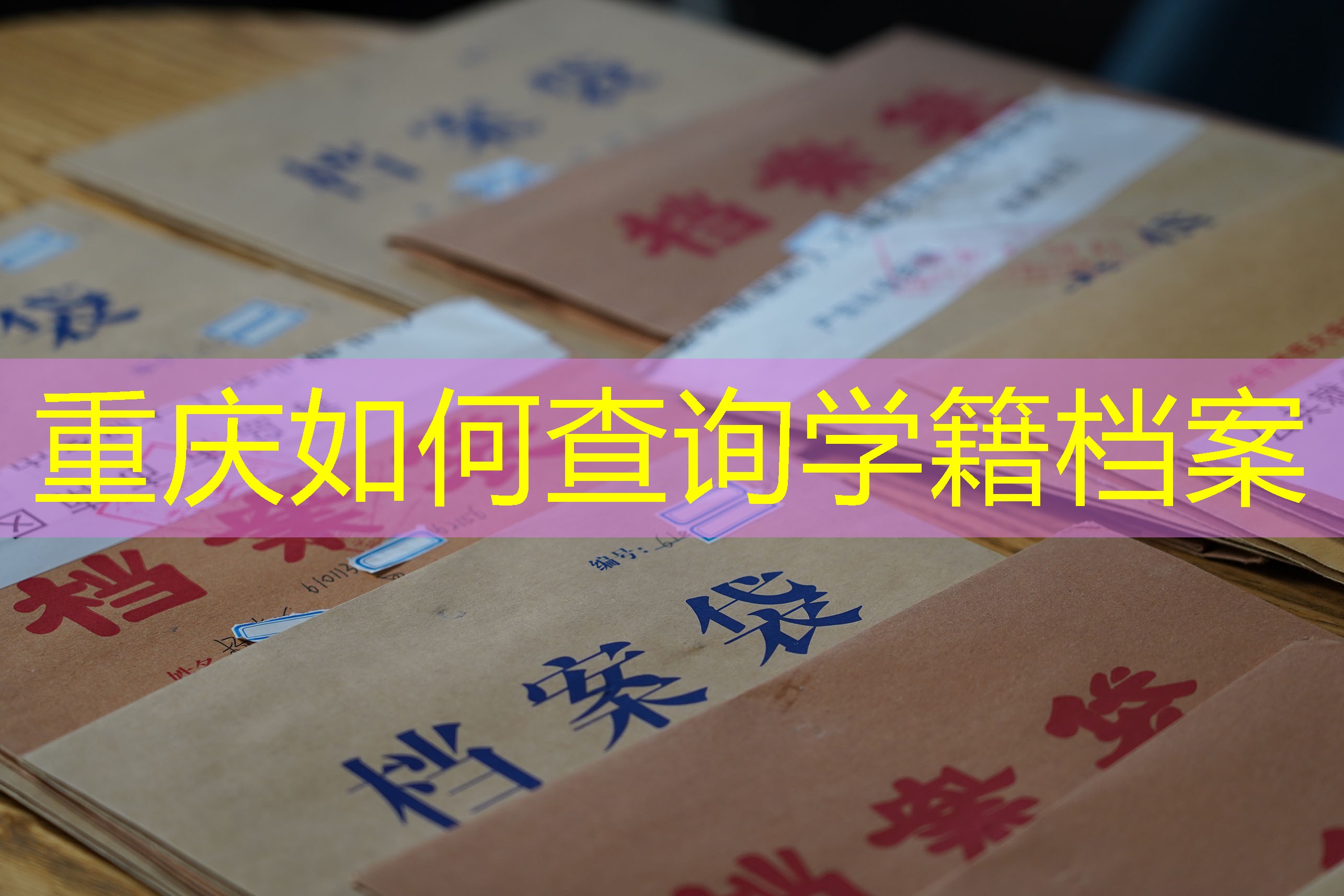 档案查询