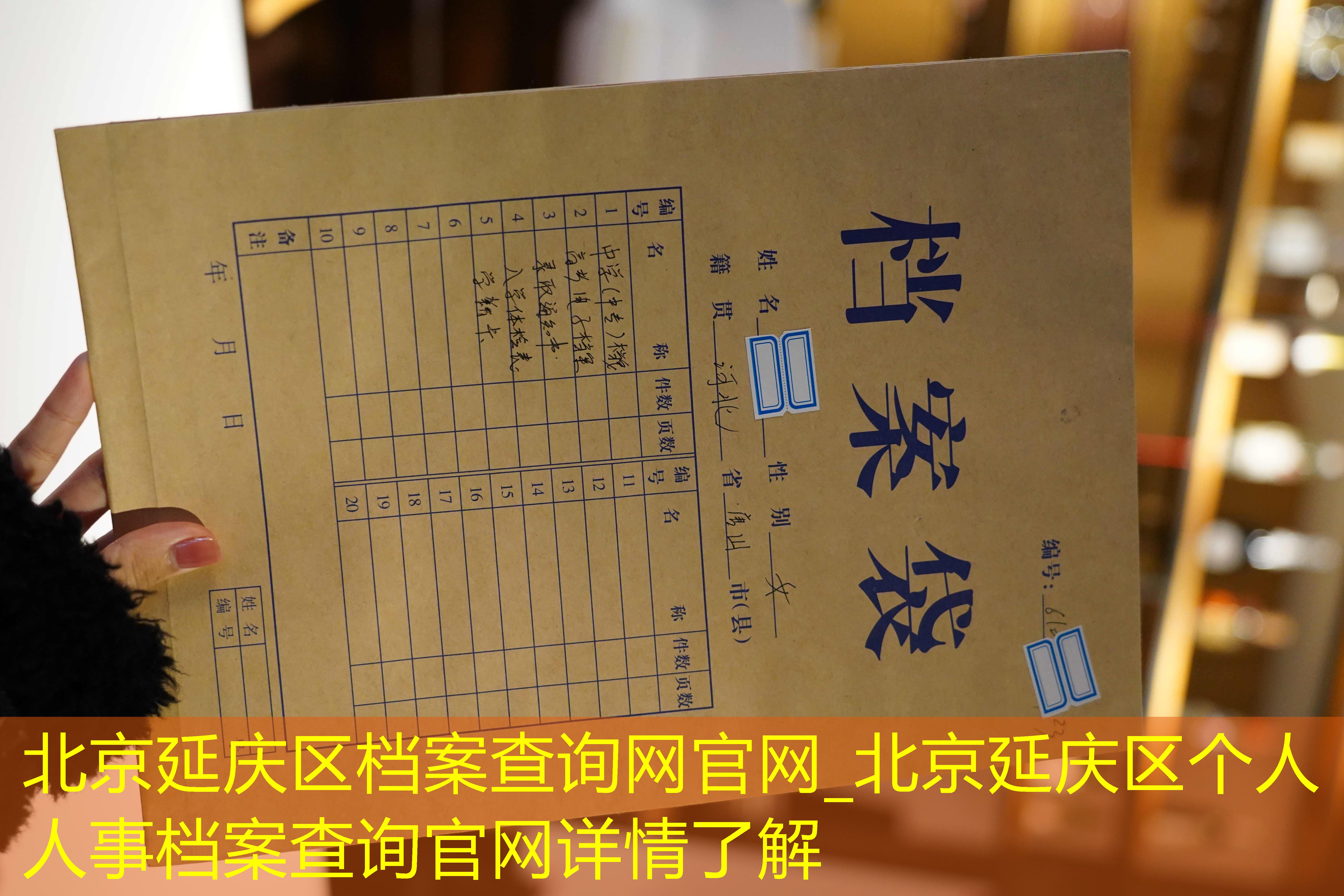 档案查询
