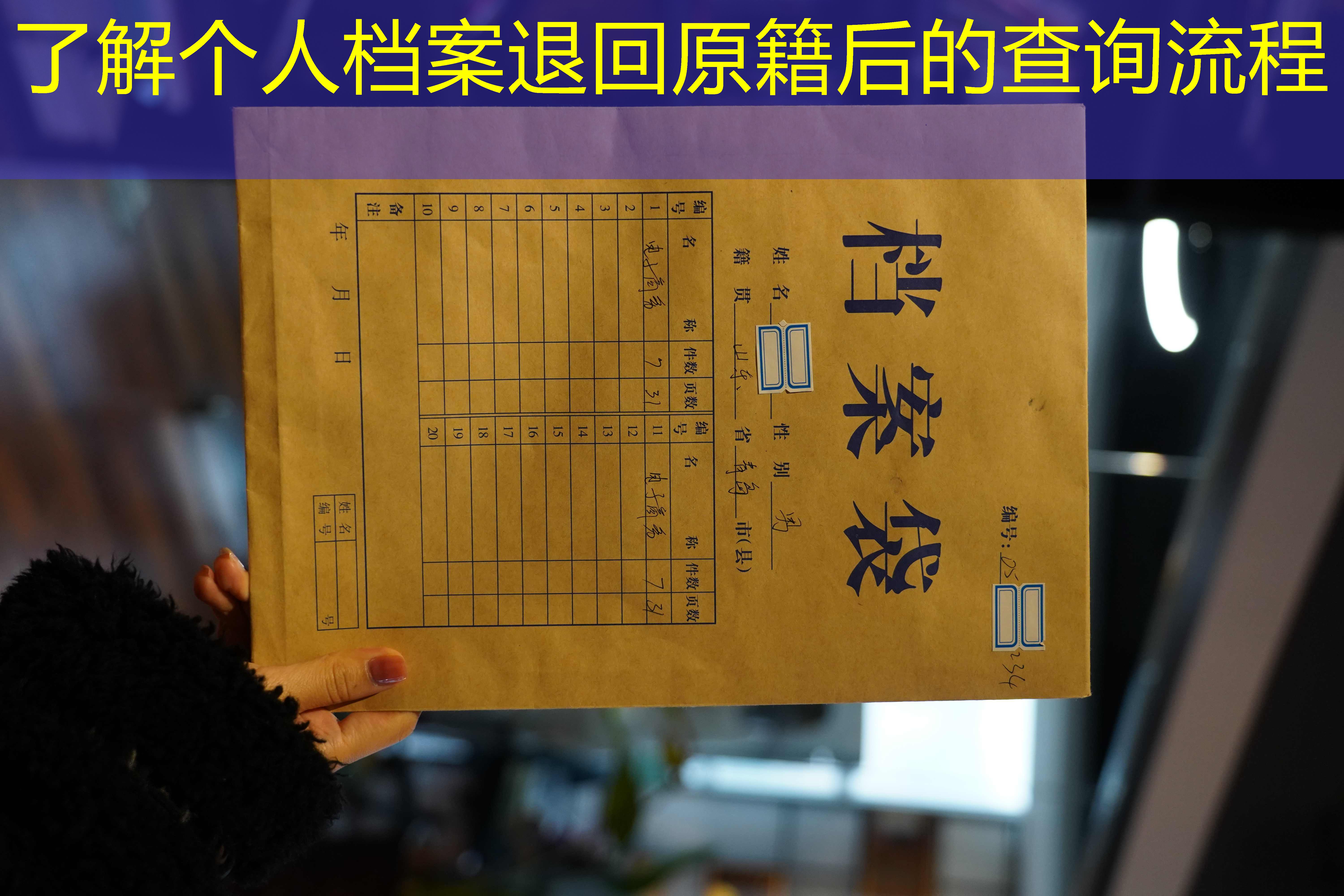 档案查询