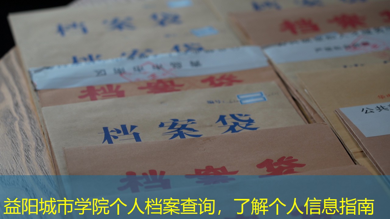 档案查询