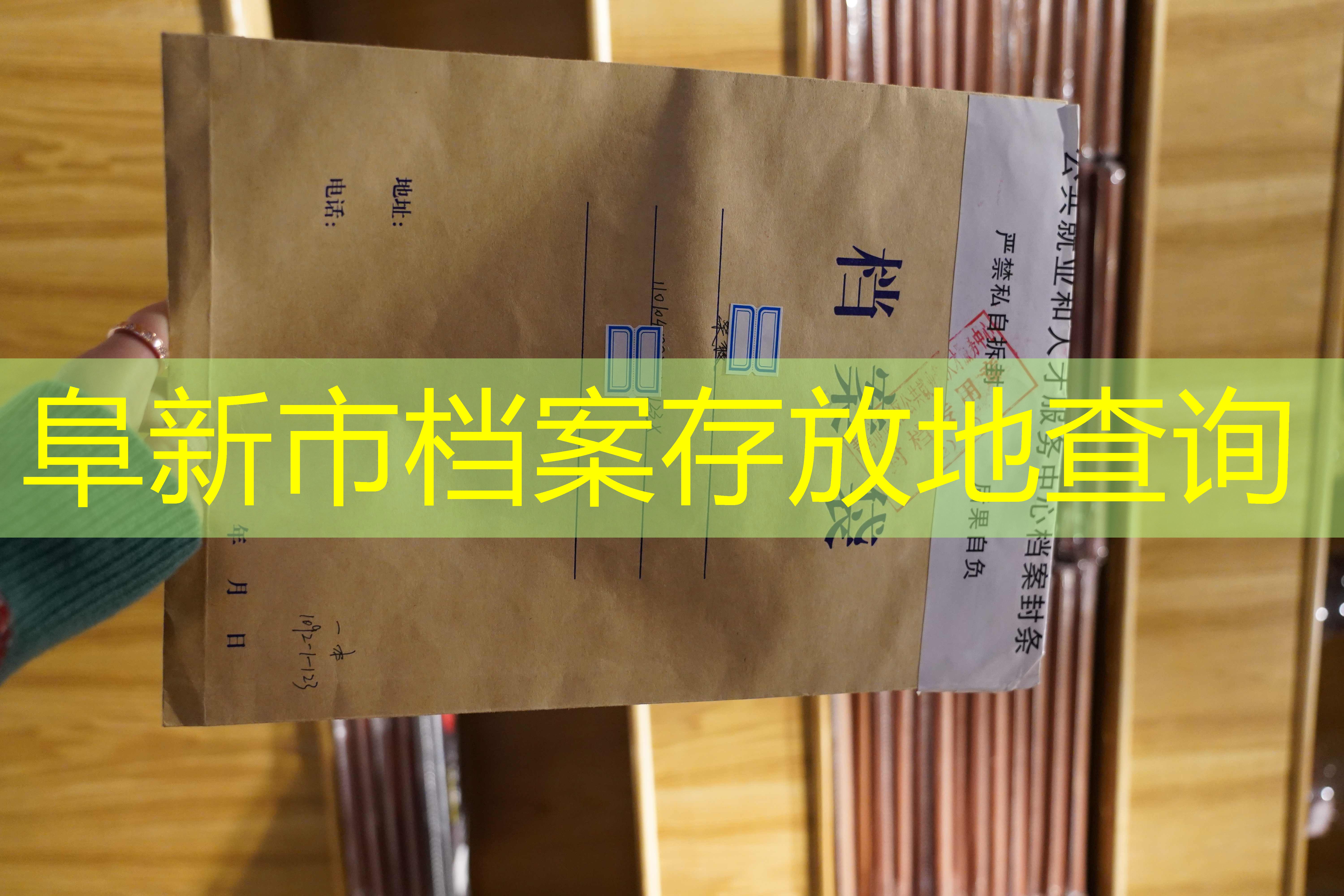 档案查询