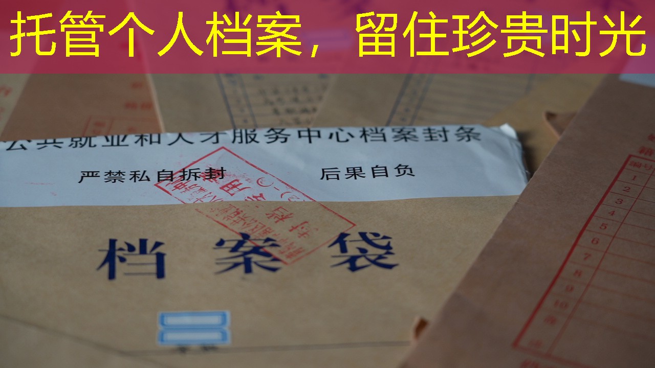 档案查询