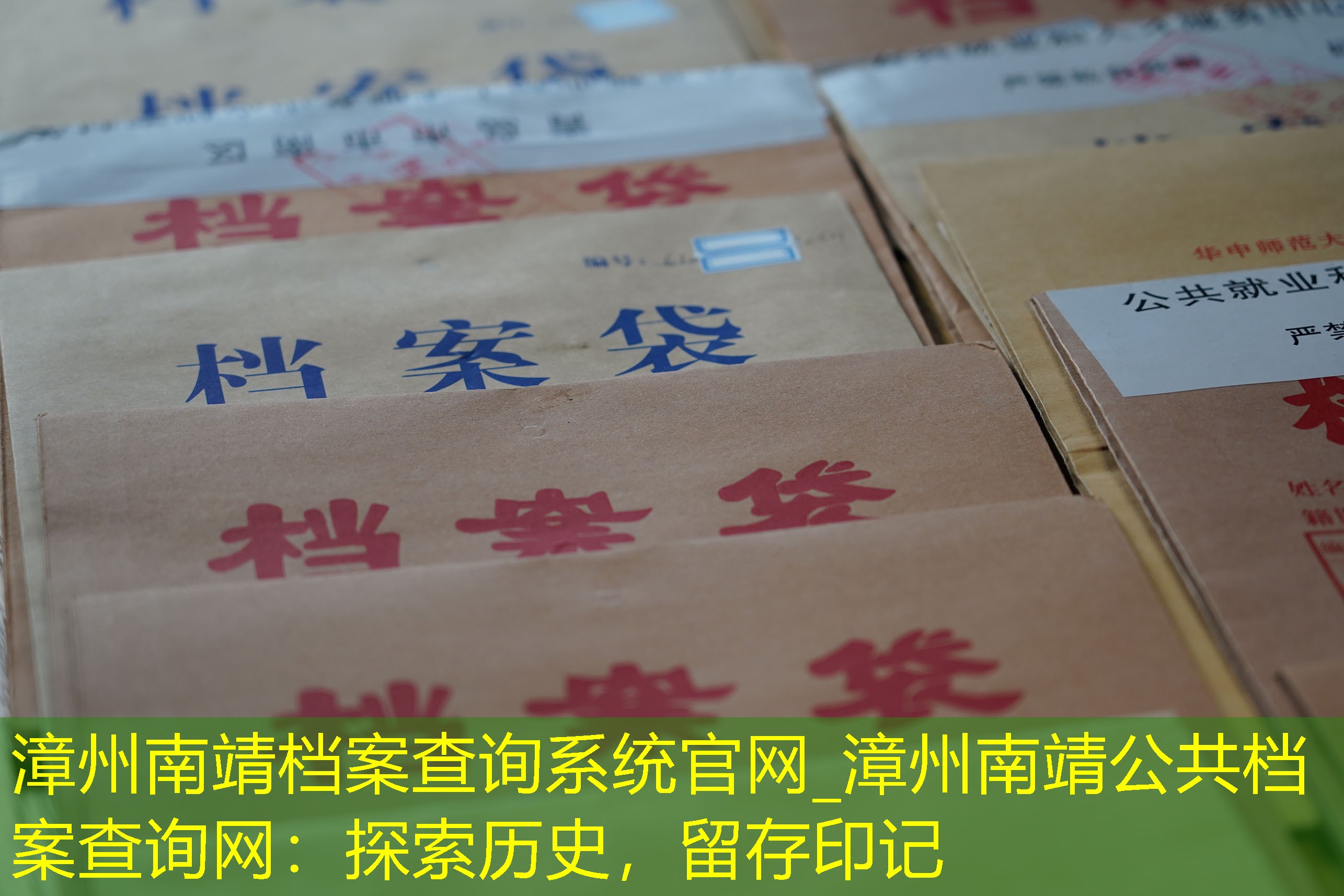 档案查询