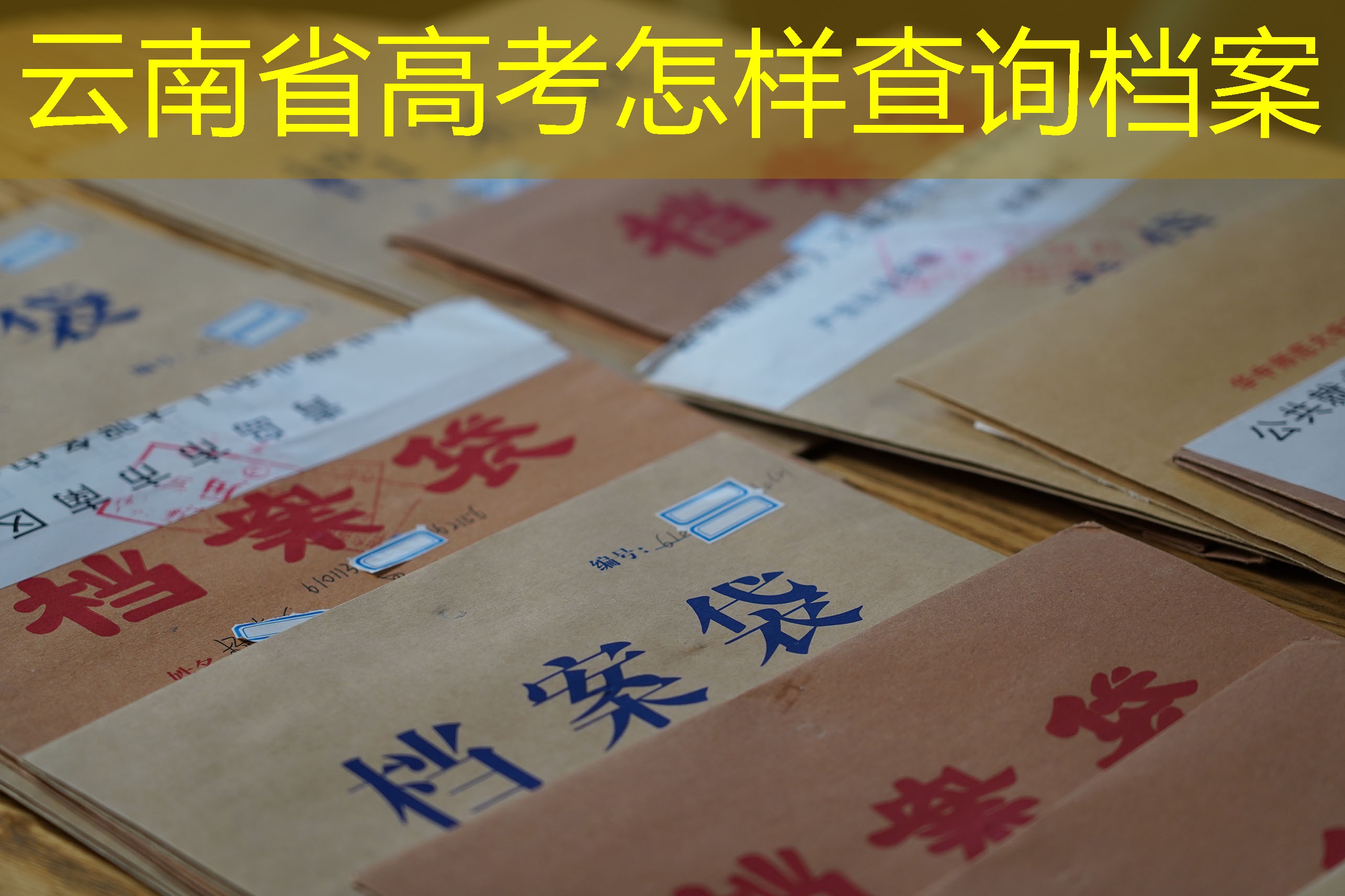 档案查询