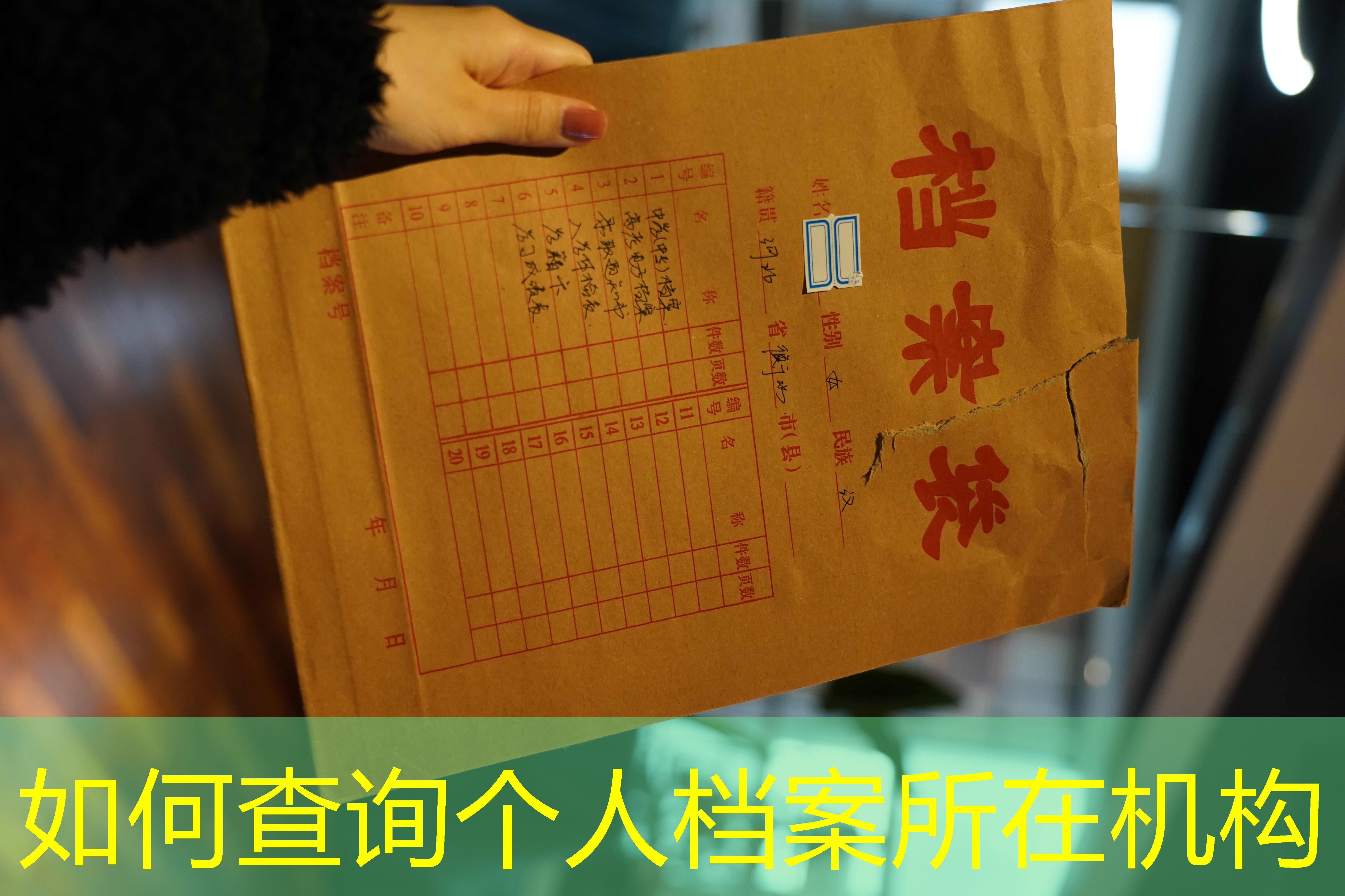 档案查询