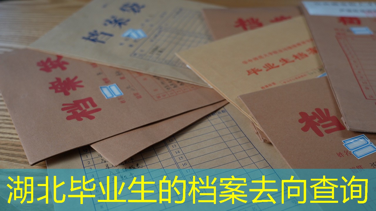 档案查询