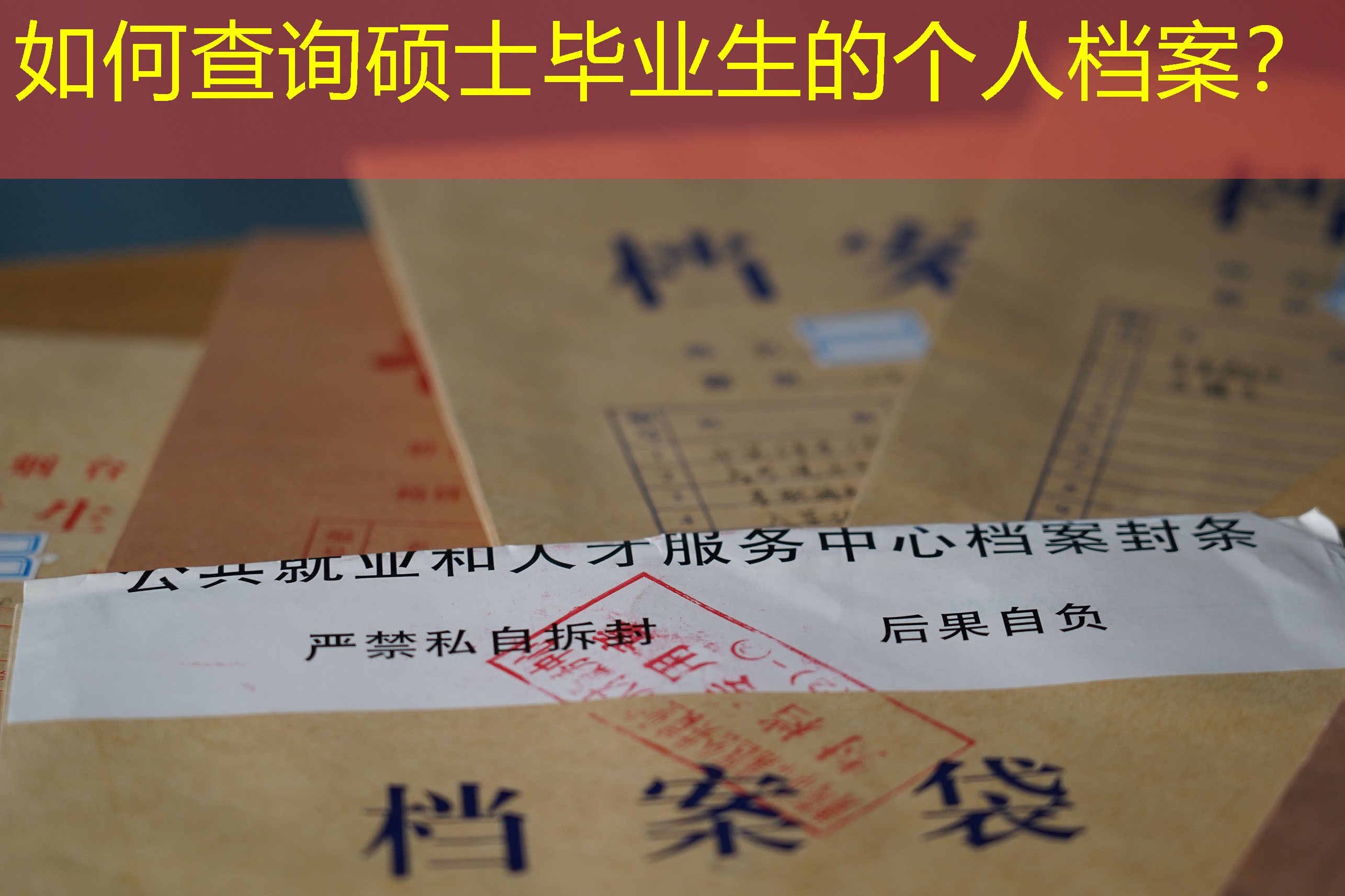 档案查询