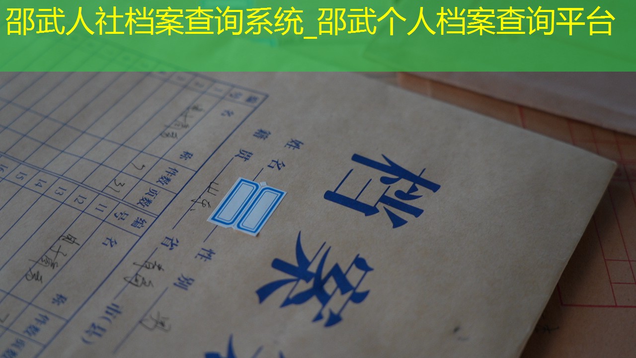 档案查询