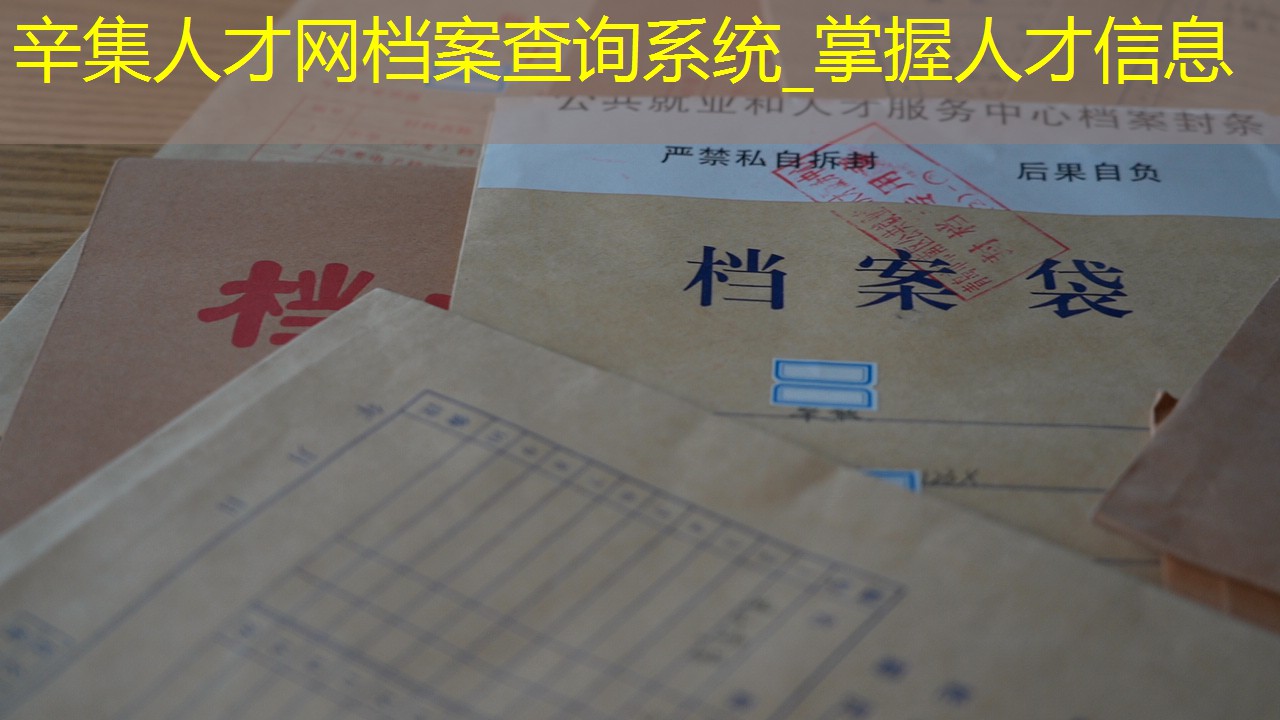 档案查询
