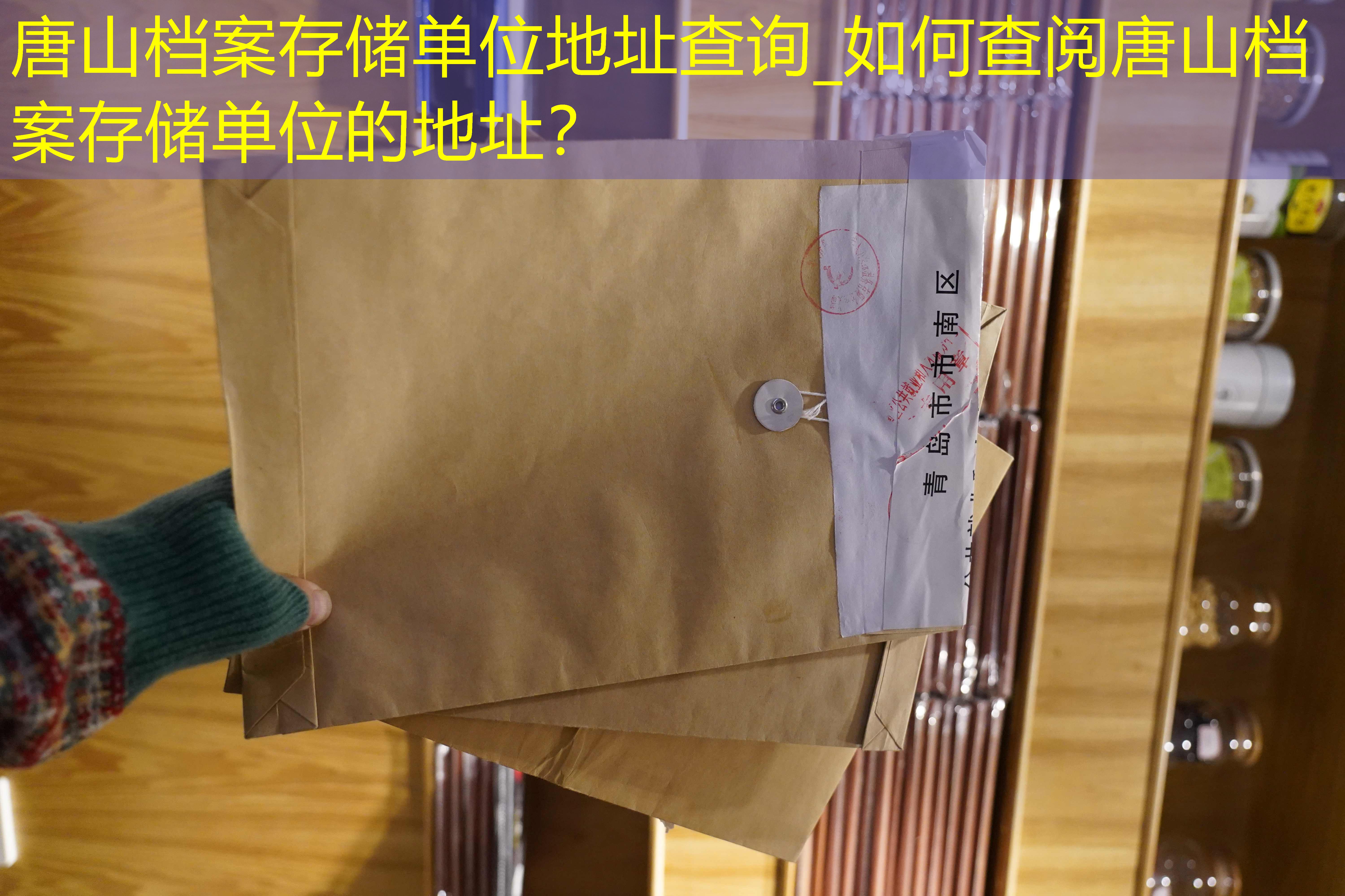 档案查询