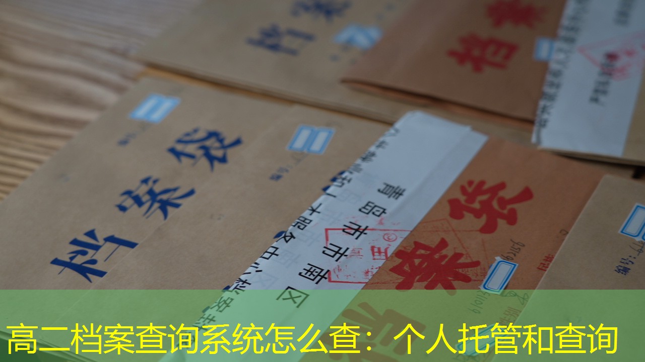 档案查询