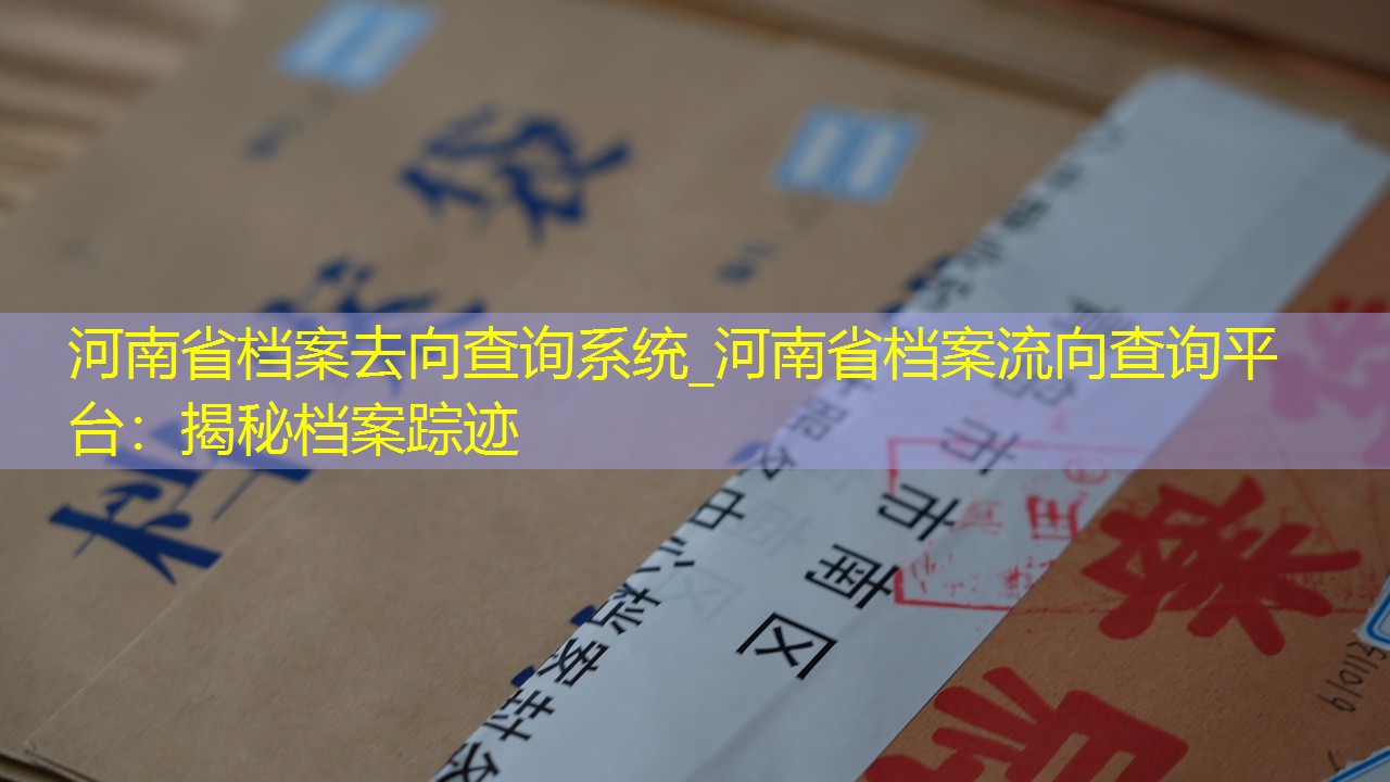 档案查询