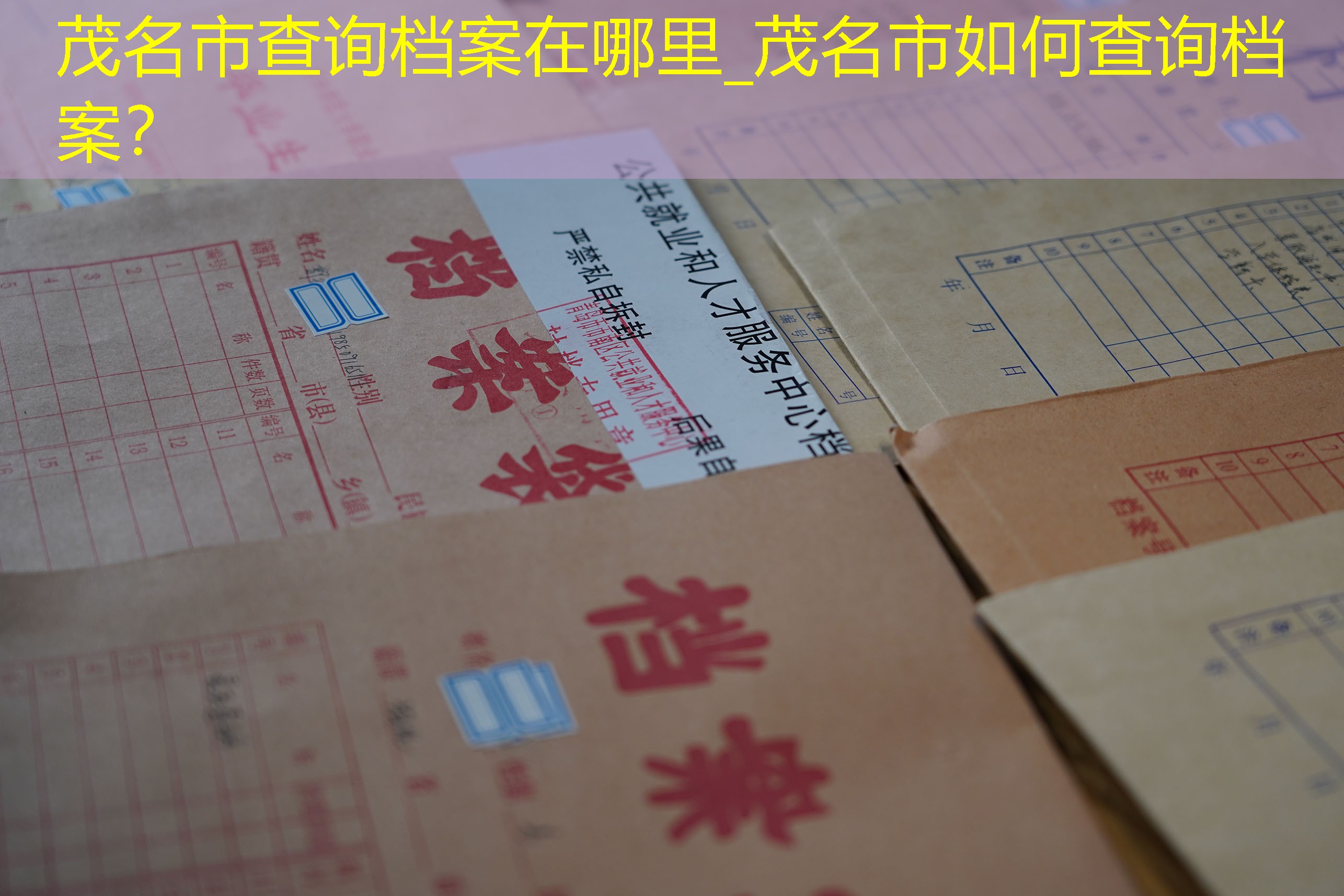 档案查询