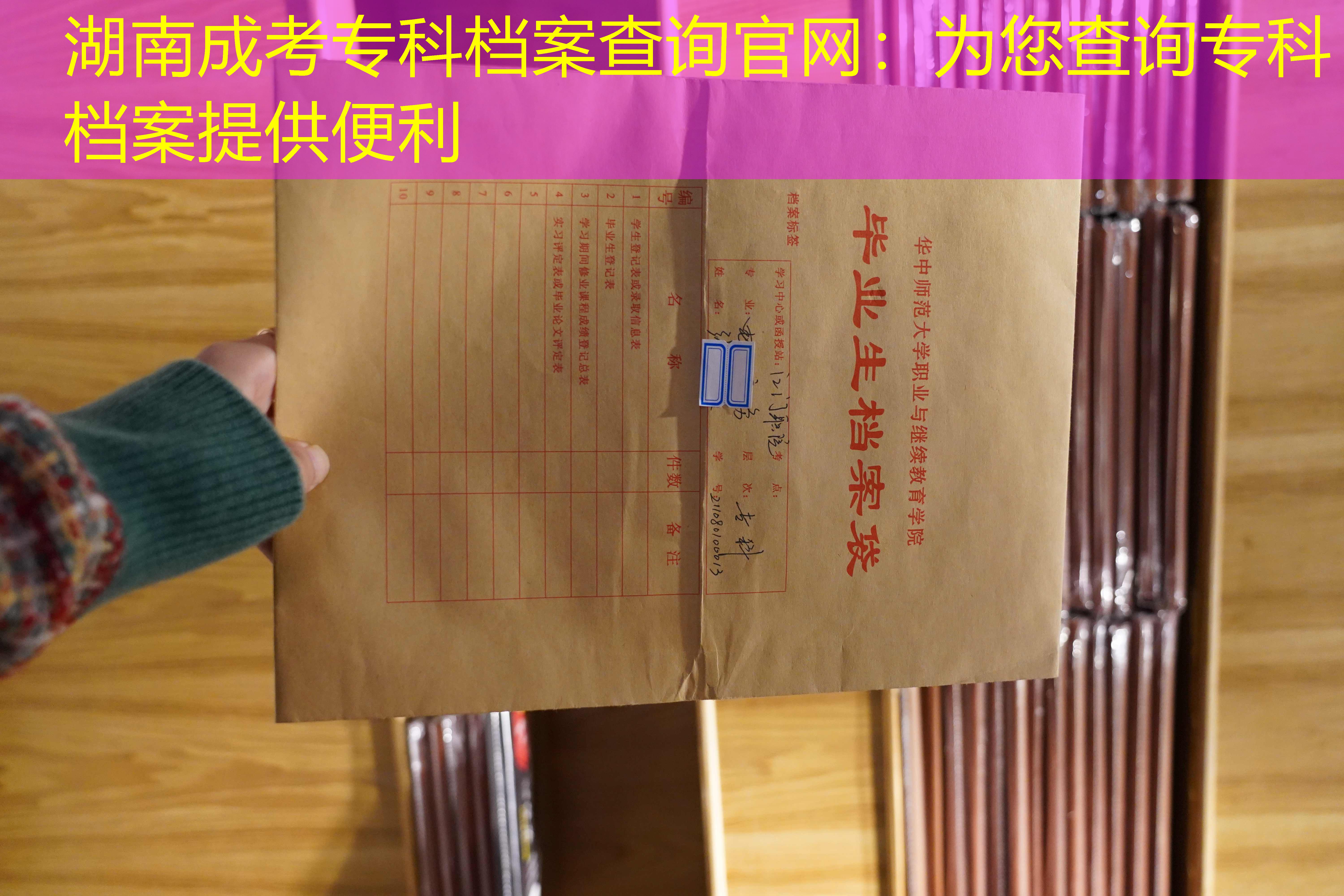 档案查询