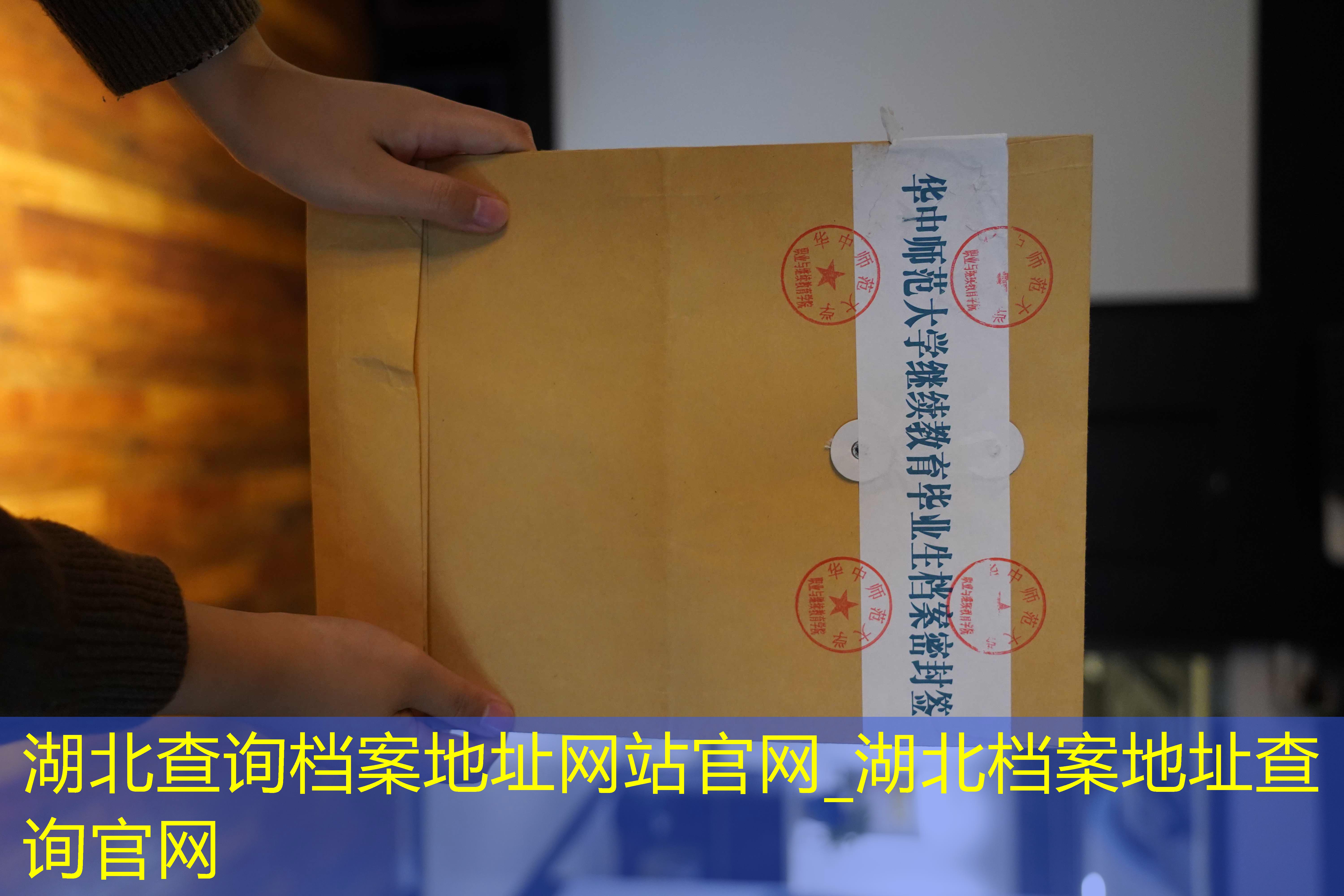 档案查询