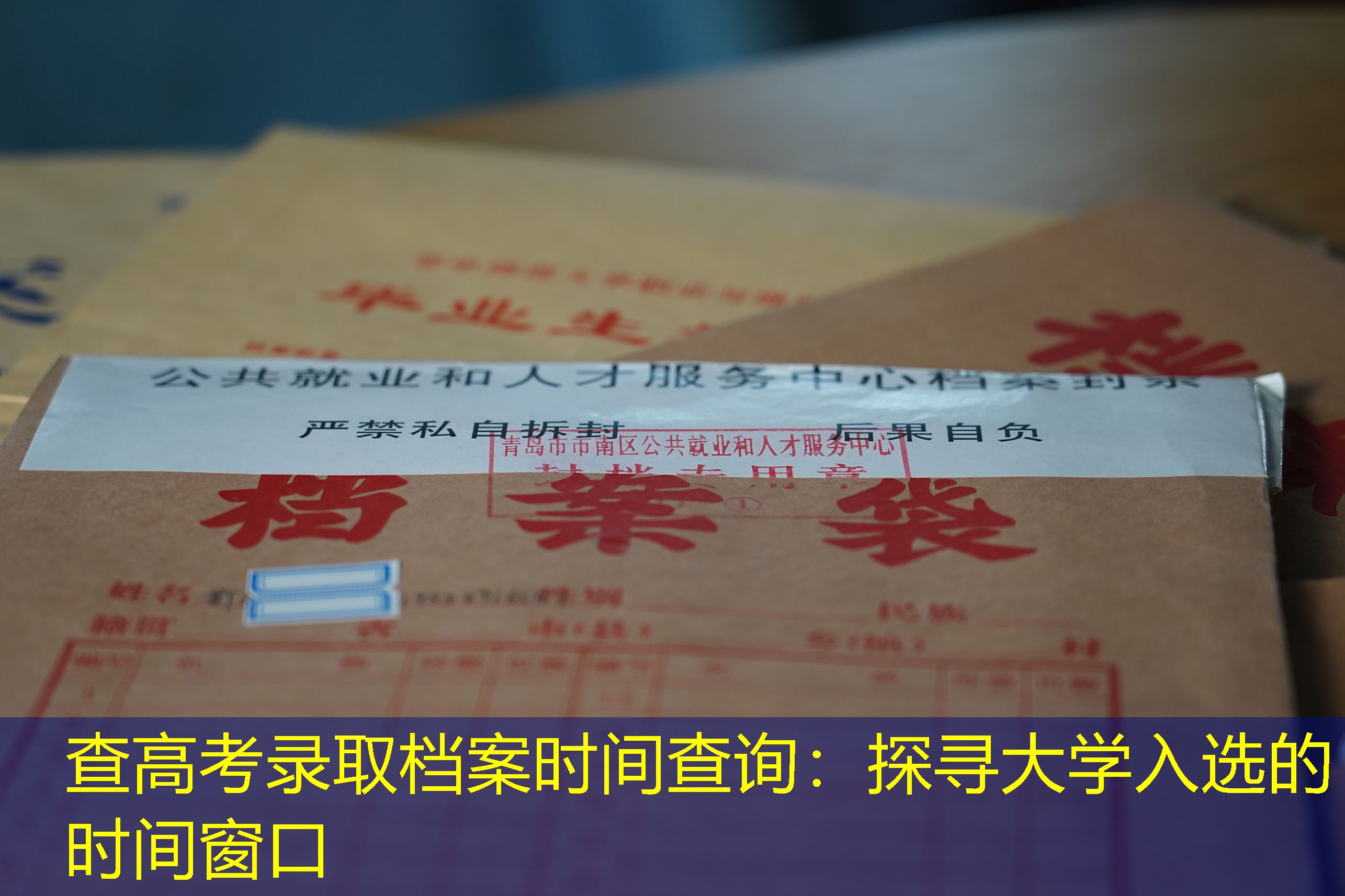 档案查询