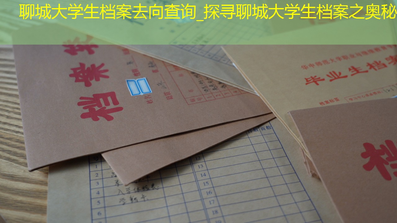 档案查询